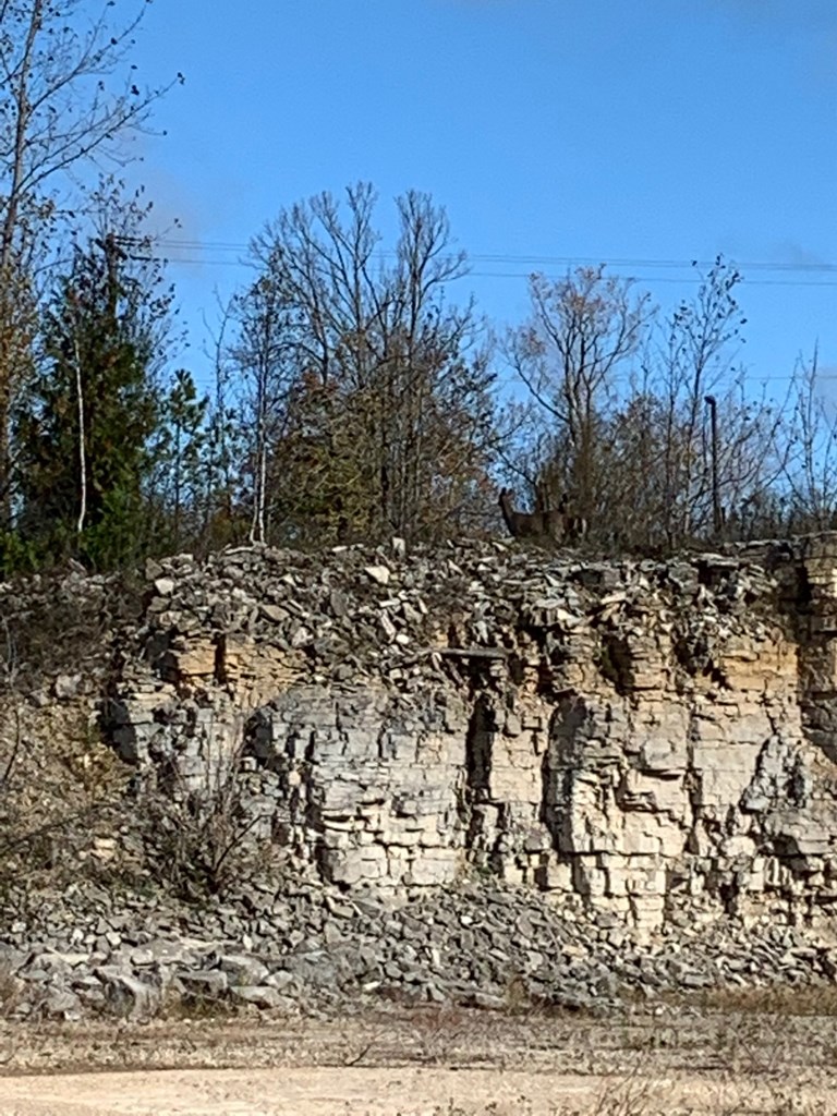 County Road Fish Creek, WI 54212 - Photo 14 of 14