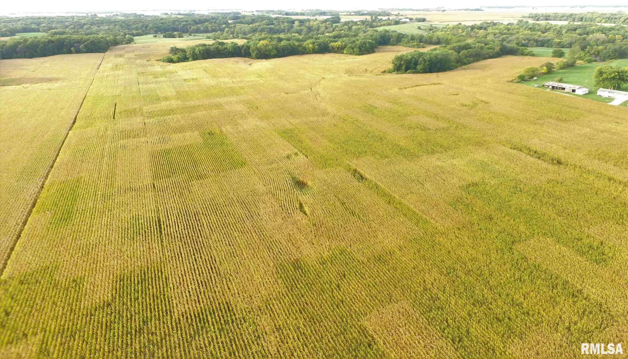 Shaw Road Avon, IL 61415 - Photo 1 of 27