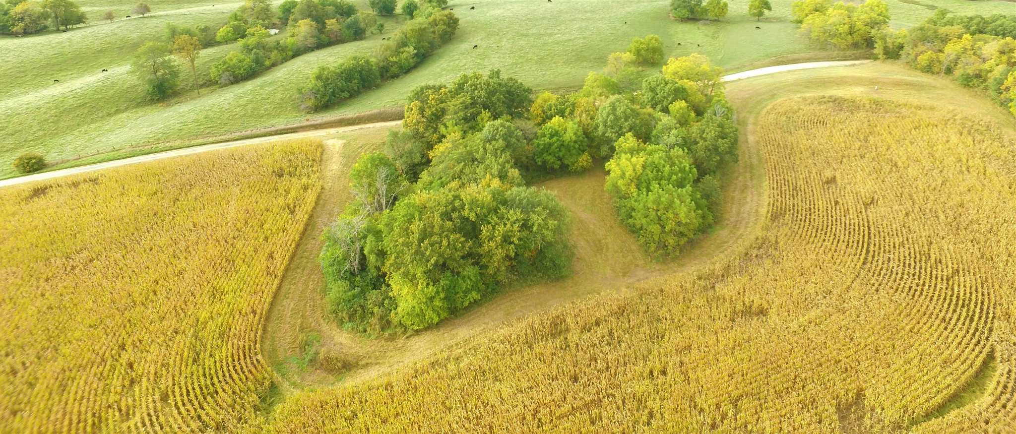 Shaw Road Avon, IL 61415 - Photo 11 of 27