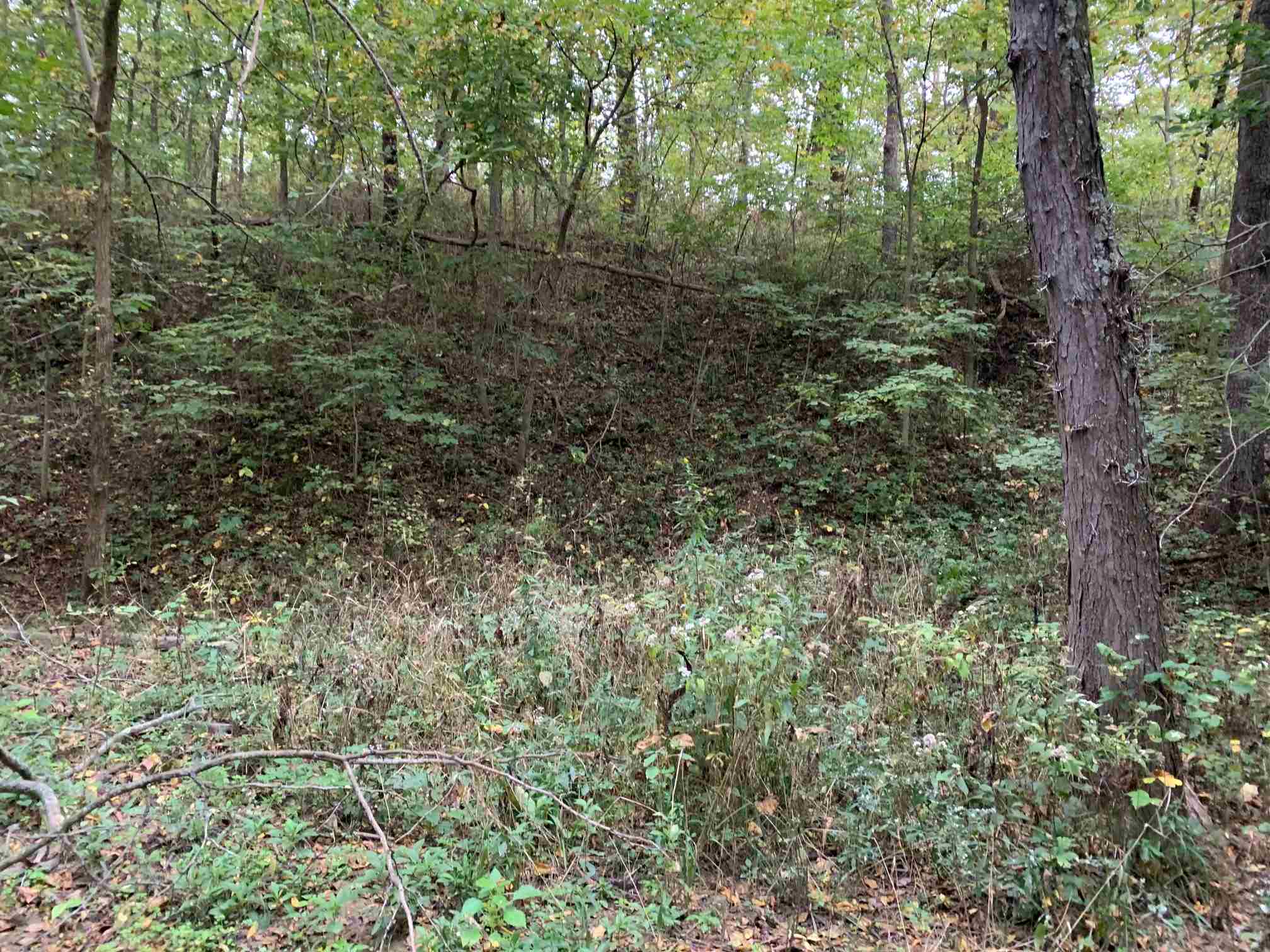 Shaw Road Avon, IL 61415 - Photo 13 of 27