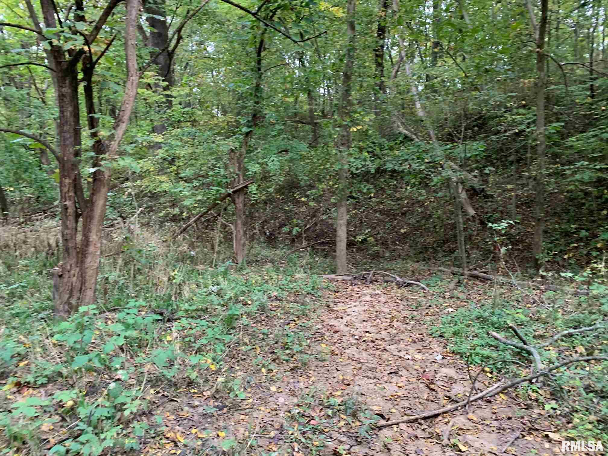 Shaw Road Avon, IL 61415 - Photo 15 of 27