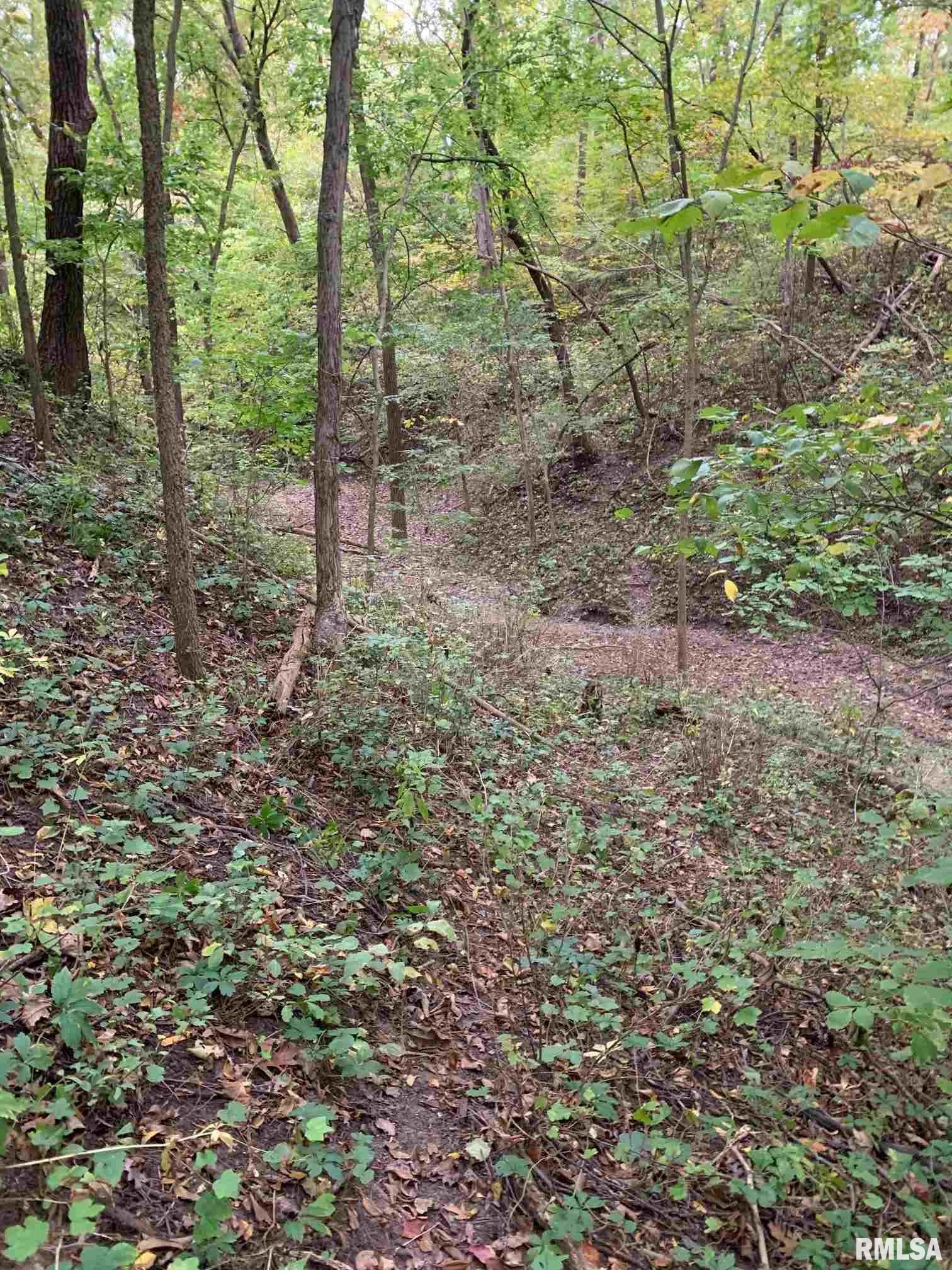 Shaw Road Avon, IL 61415 - Photo 16 of 27