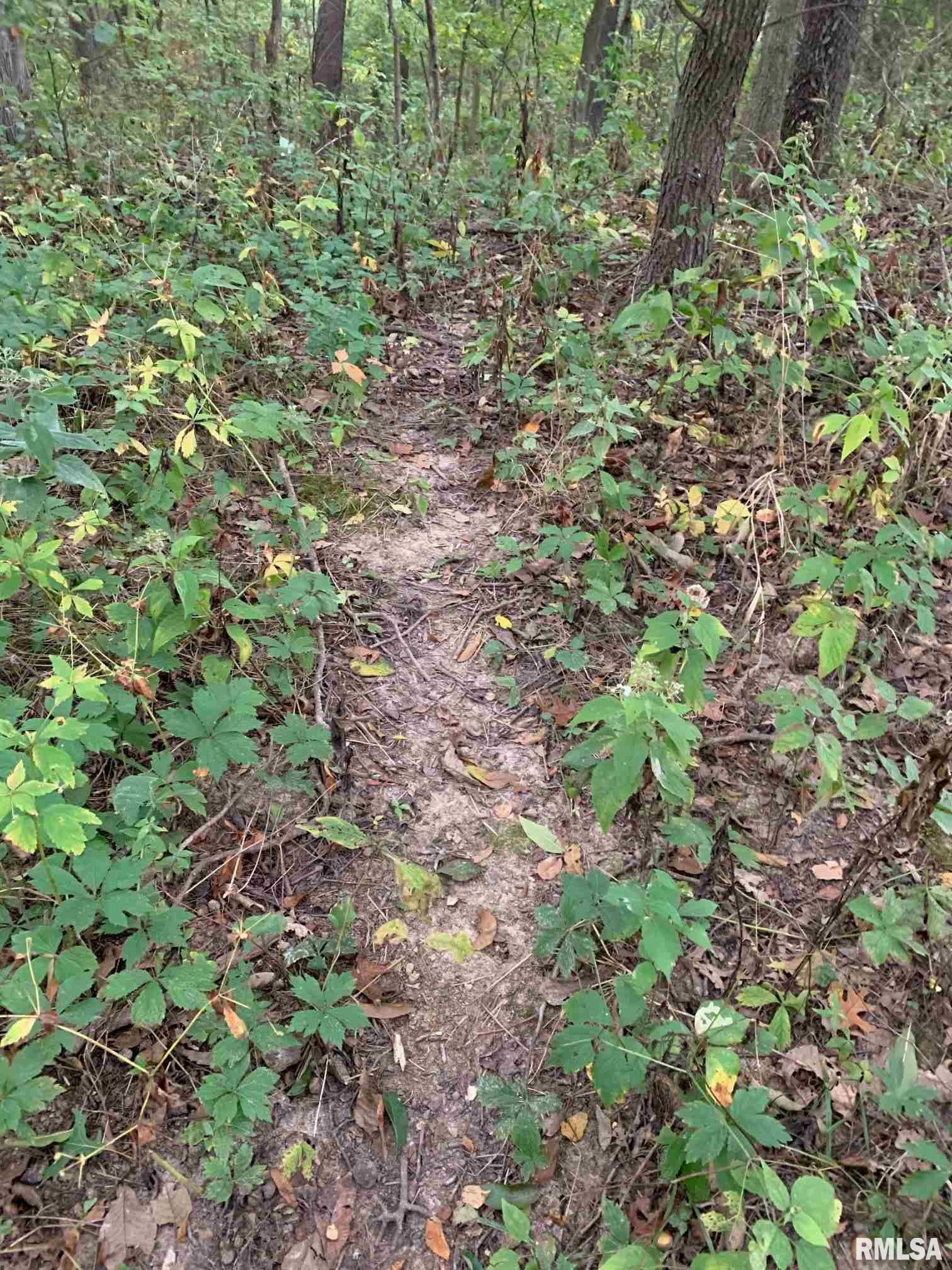 Shaw Road Avon, IL 61415 - Photo 17 of 27