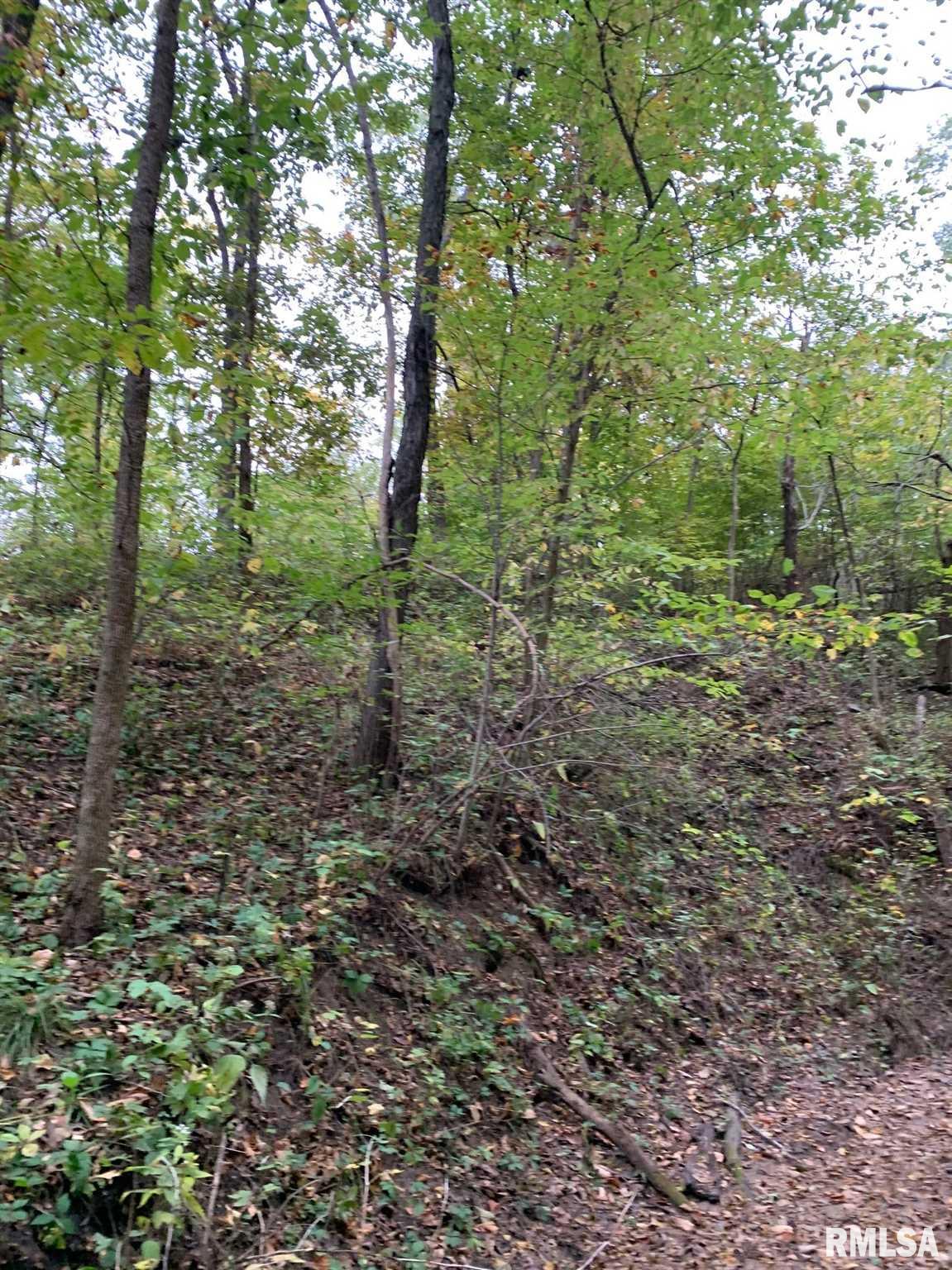 Shaw Road Avon, IL 61415 - Photo 20 of 27