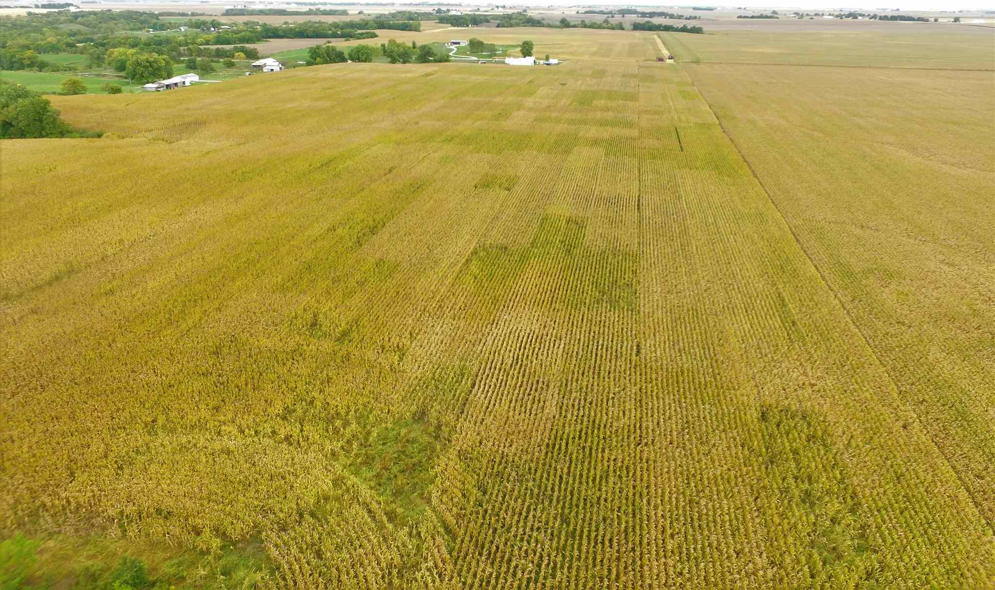 Shaw Road Avon, IL 61415 - Photo 2 of 27
