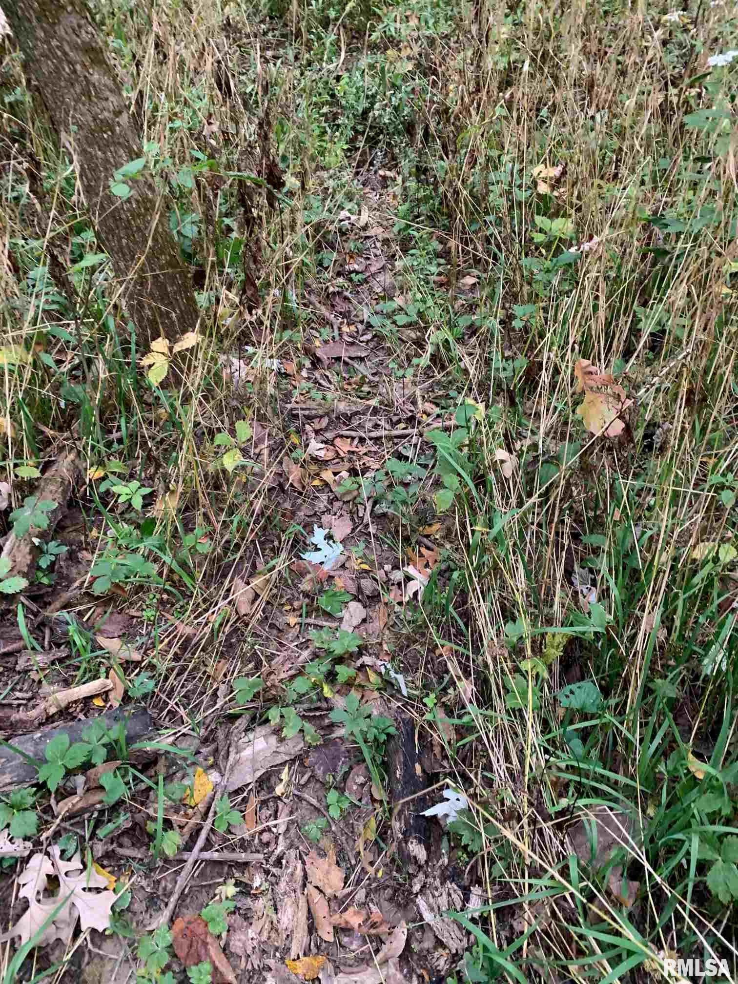 Shaw Road Avon, IL 61415 - Photo 21 of 27