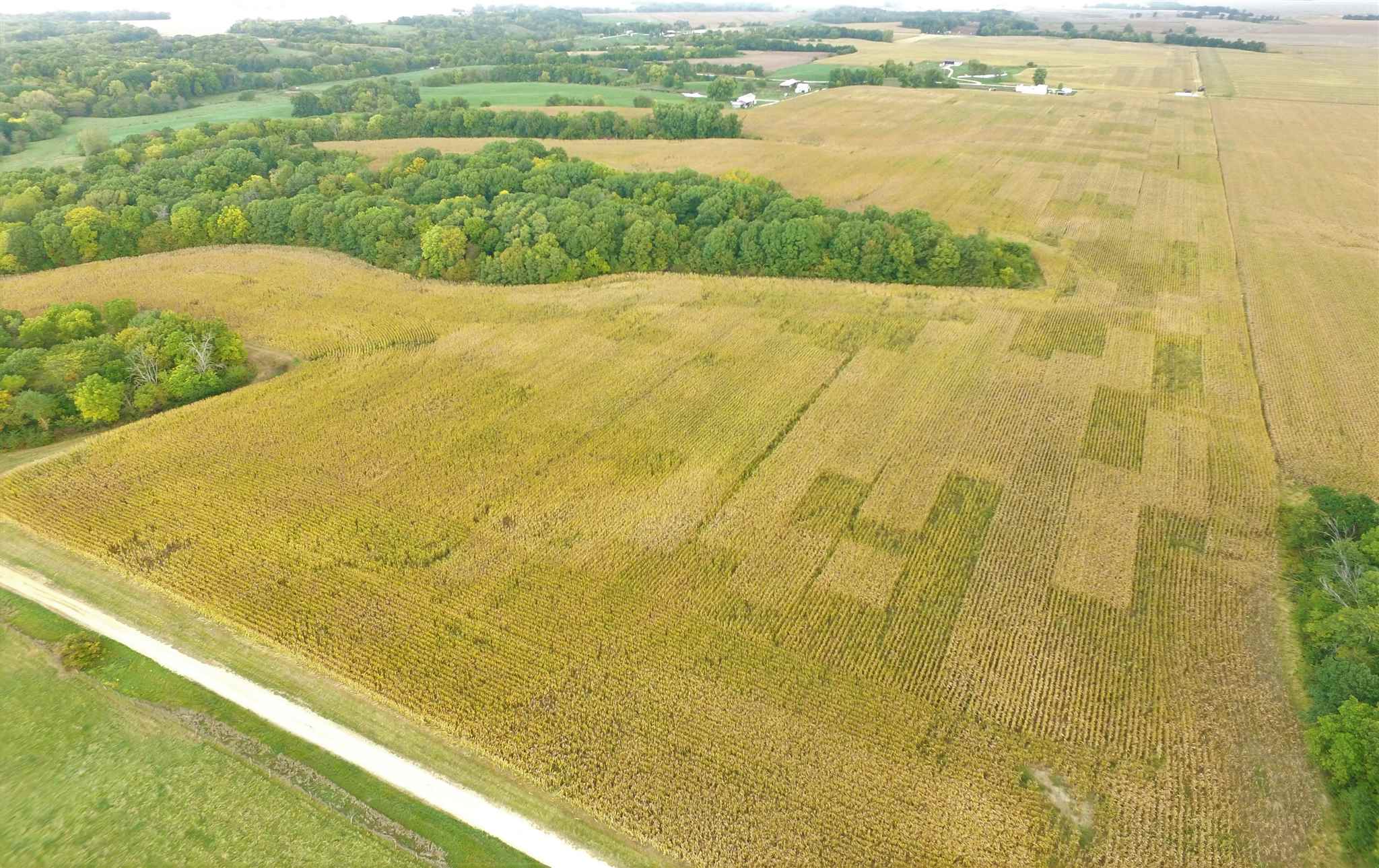 Shaw Road Avon, IL 61415 - Photo 4 of 27