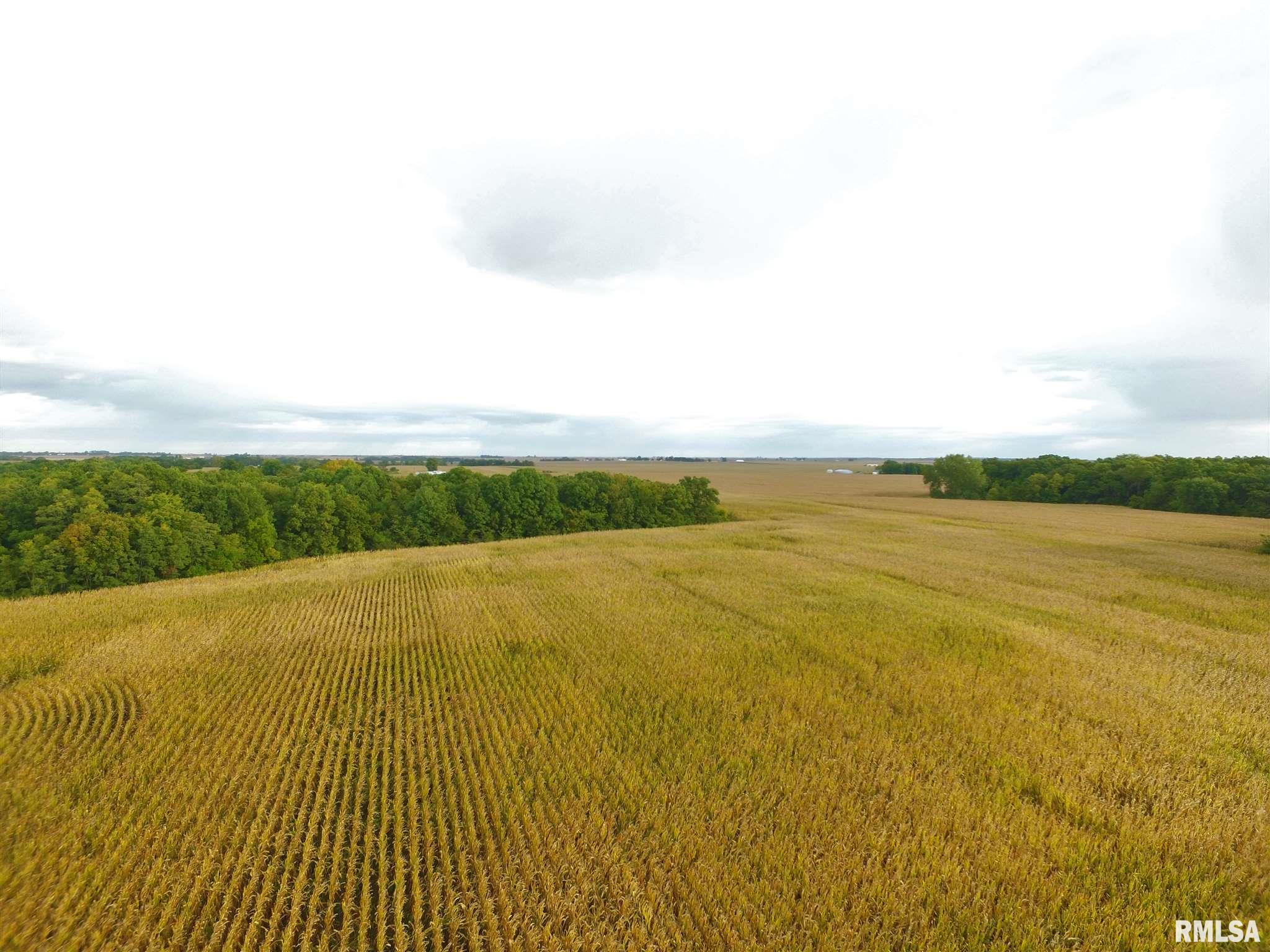 Shaw Road Avon, IL 61415 - Photo 5 of 27