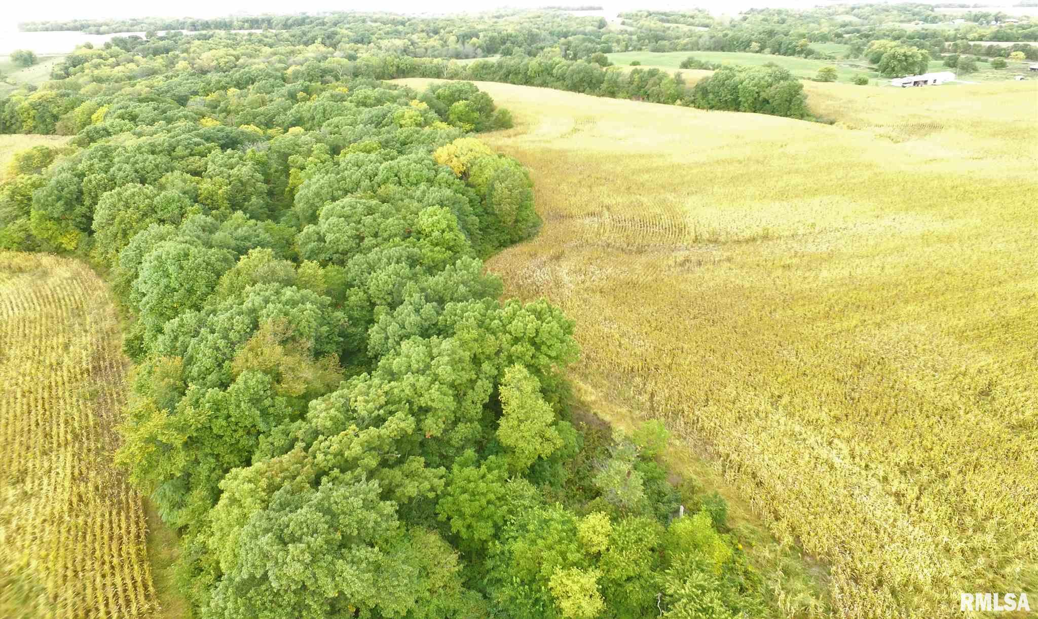 Shaw Road Avon, IL 61415 - Photo 6 of 27