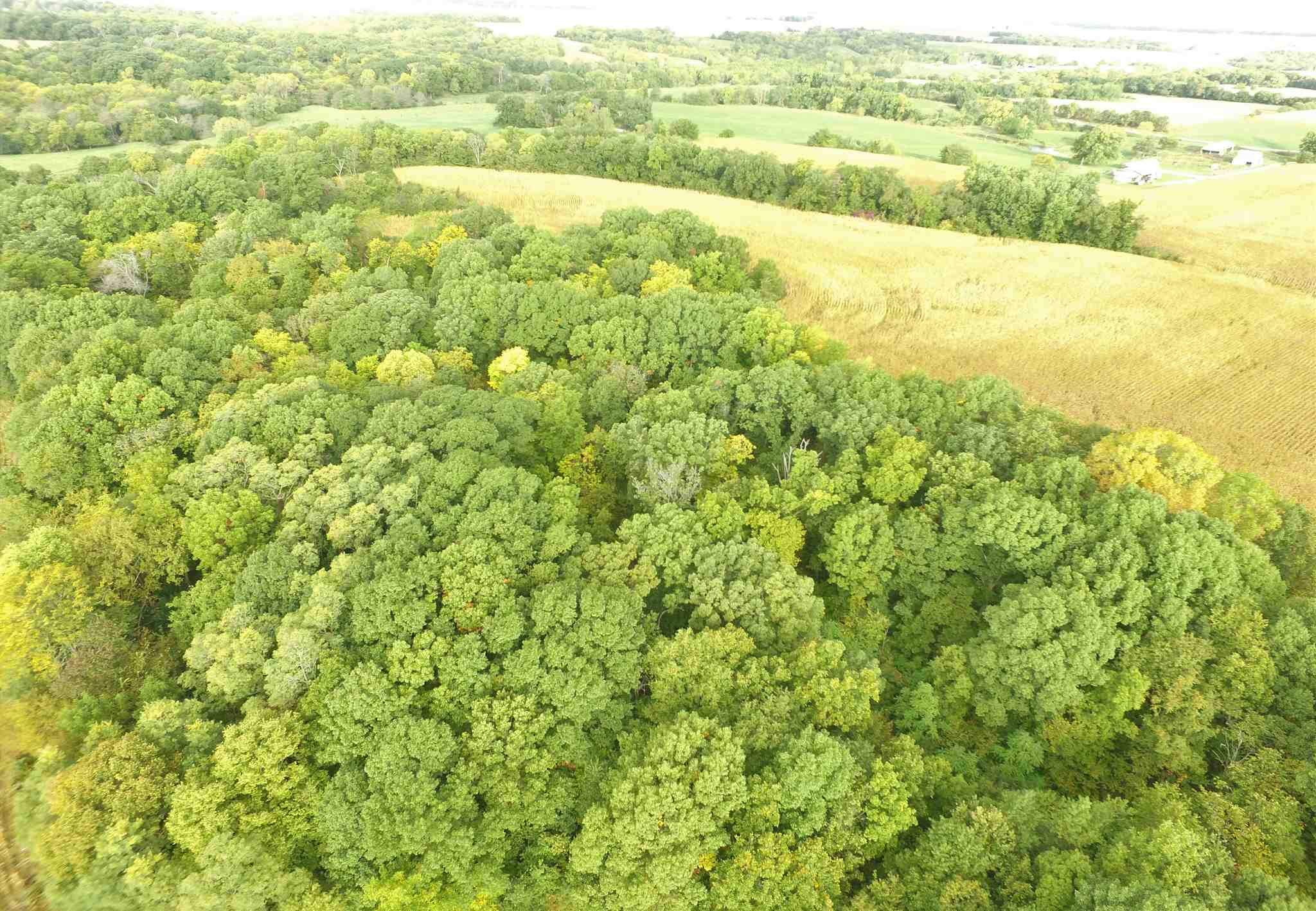 Shaw Road Avon, IL 61415 - Photo 7 of 27