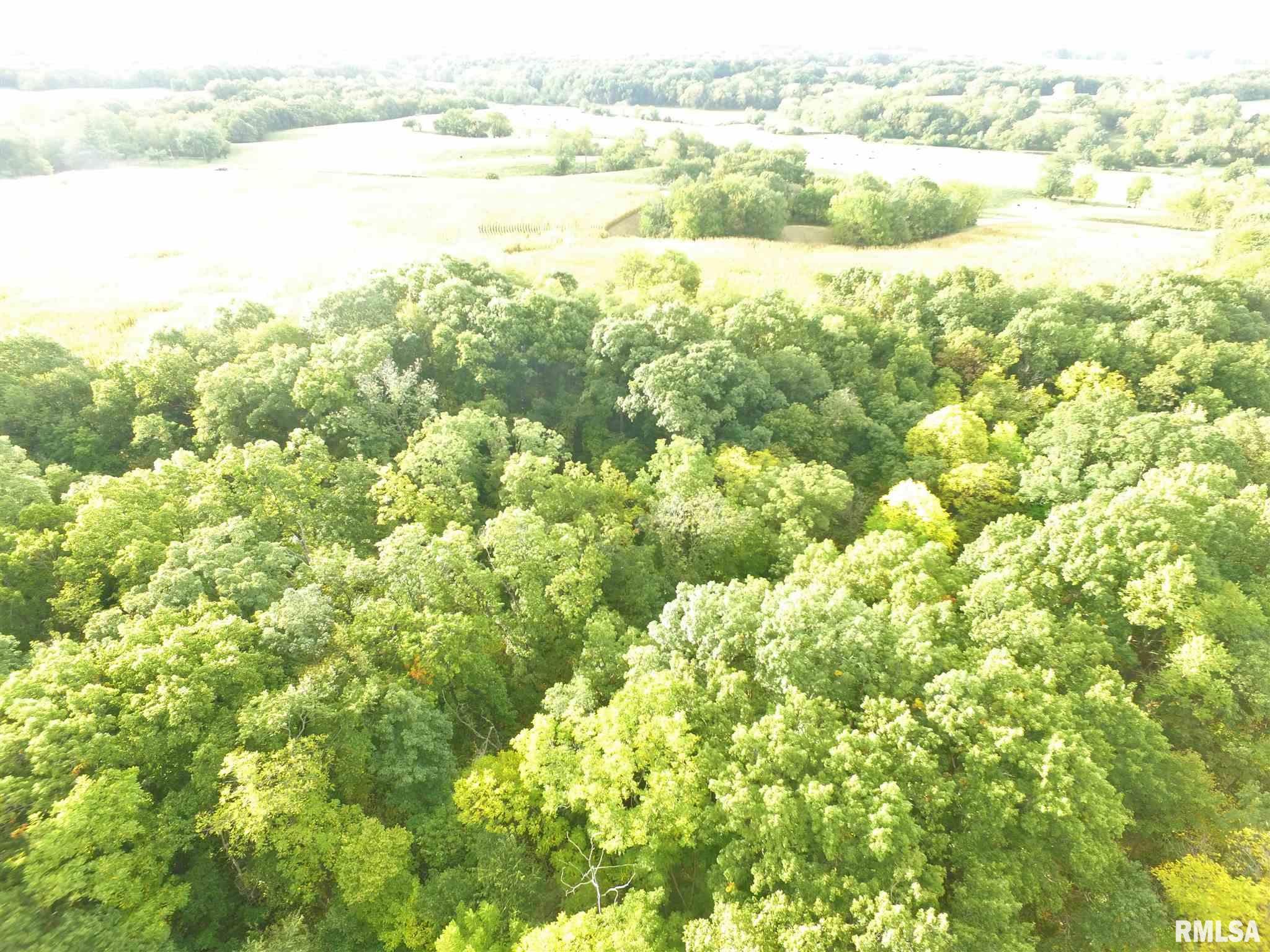 Shaw Road Avon, IL 61415 - Photo 8 of 27