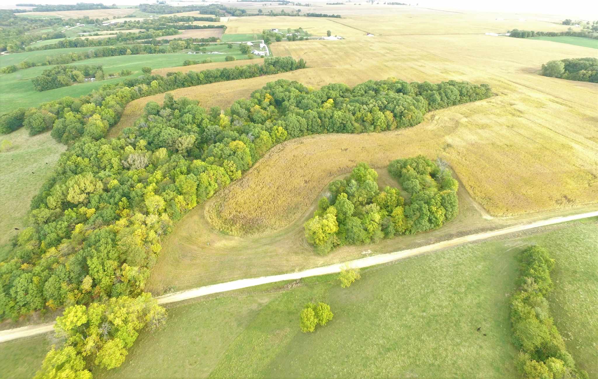 Shaw Road Avon, IL 61415 - Photo 9 of 27