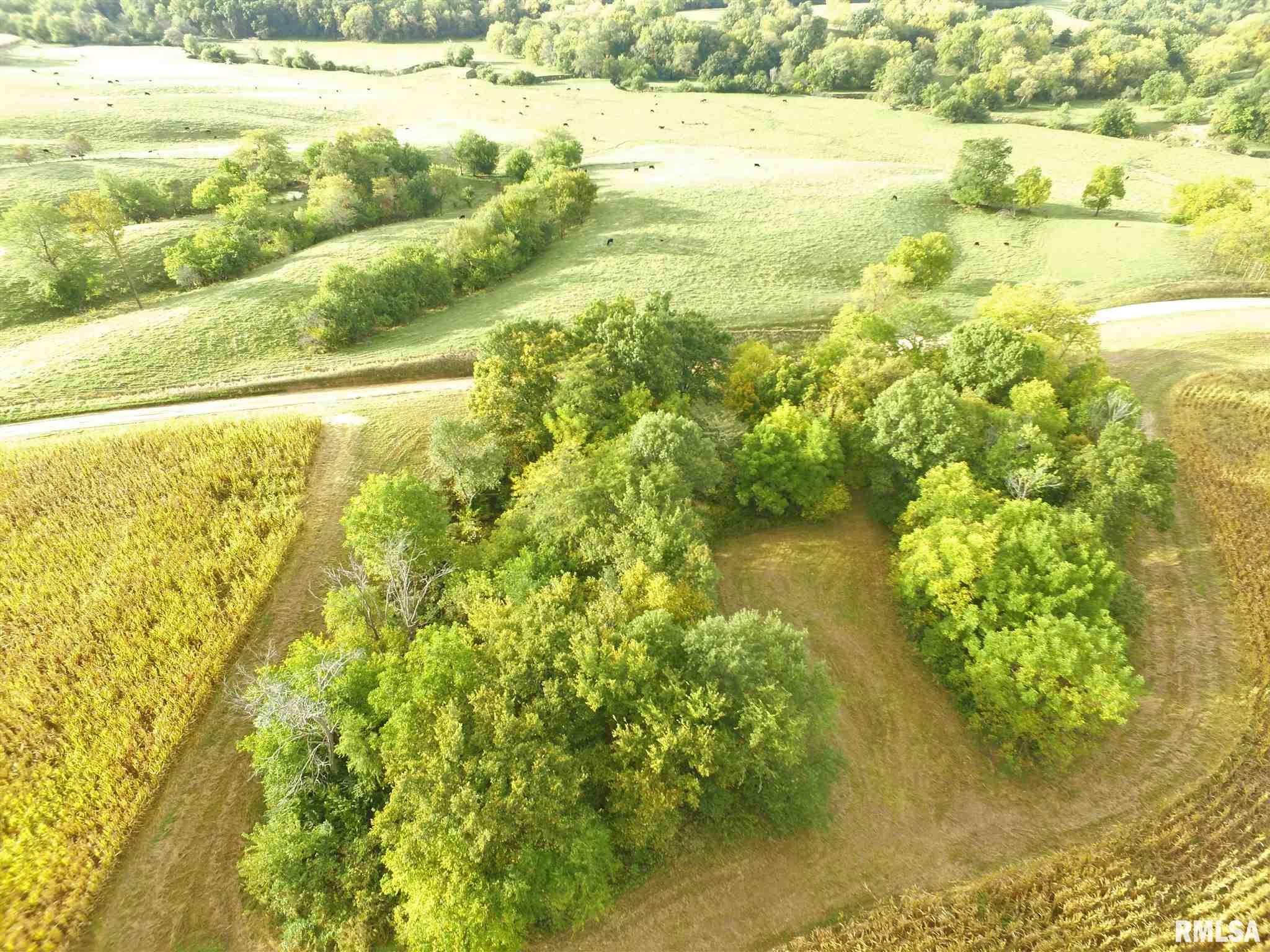 Shaw Road Avon, IL 61415 - Photo 10 of 27