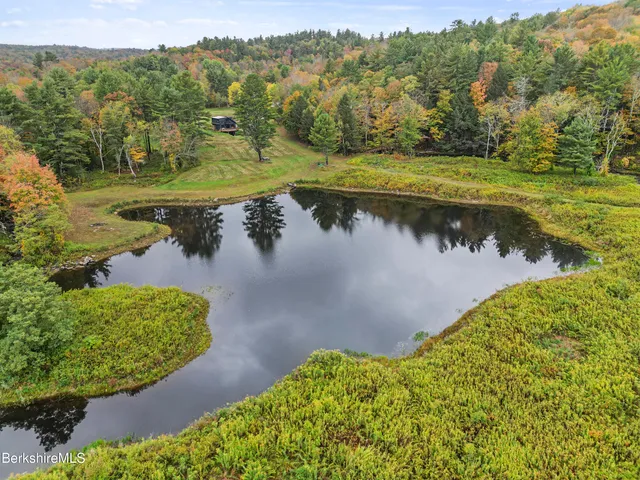 a view of a lake with a yard and plants