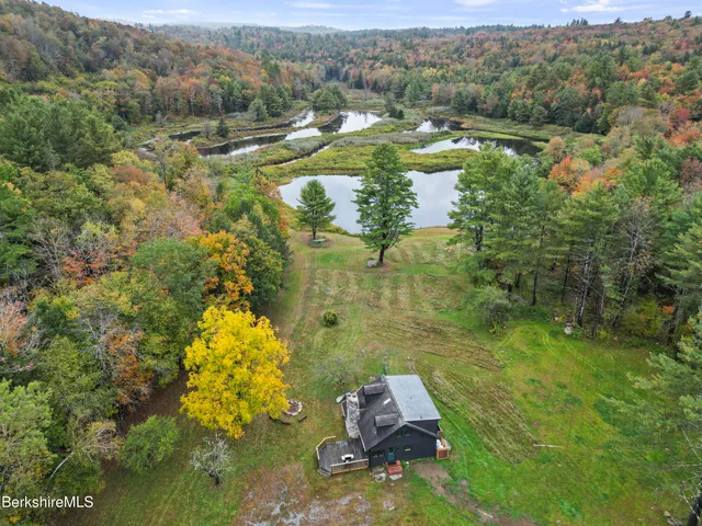 a view of a lake with a mountain