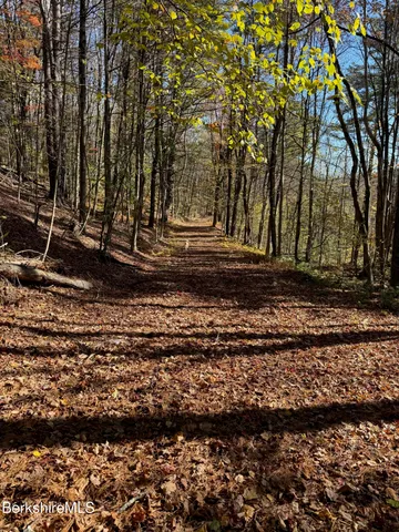 a view of a lake in between two of trees