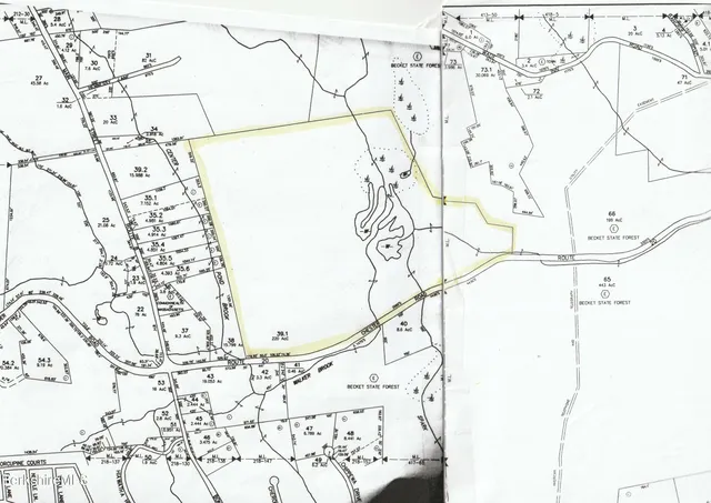 a view of a house with backyard wooden deck and a garden