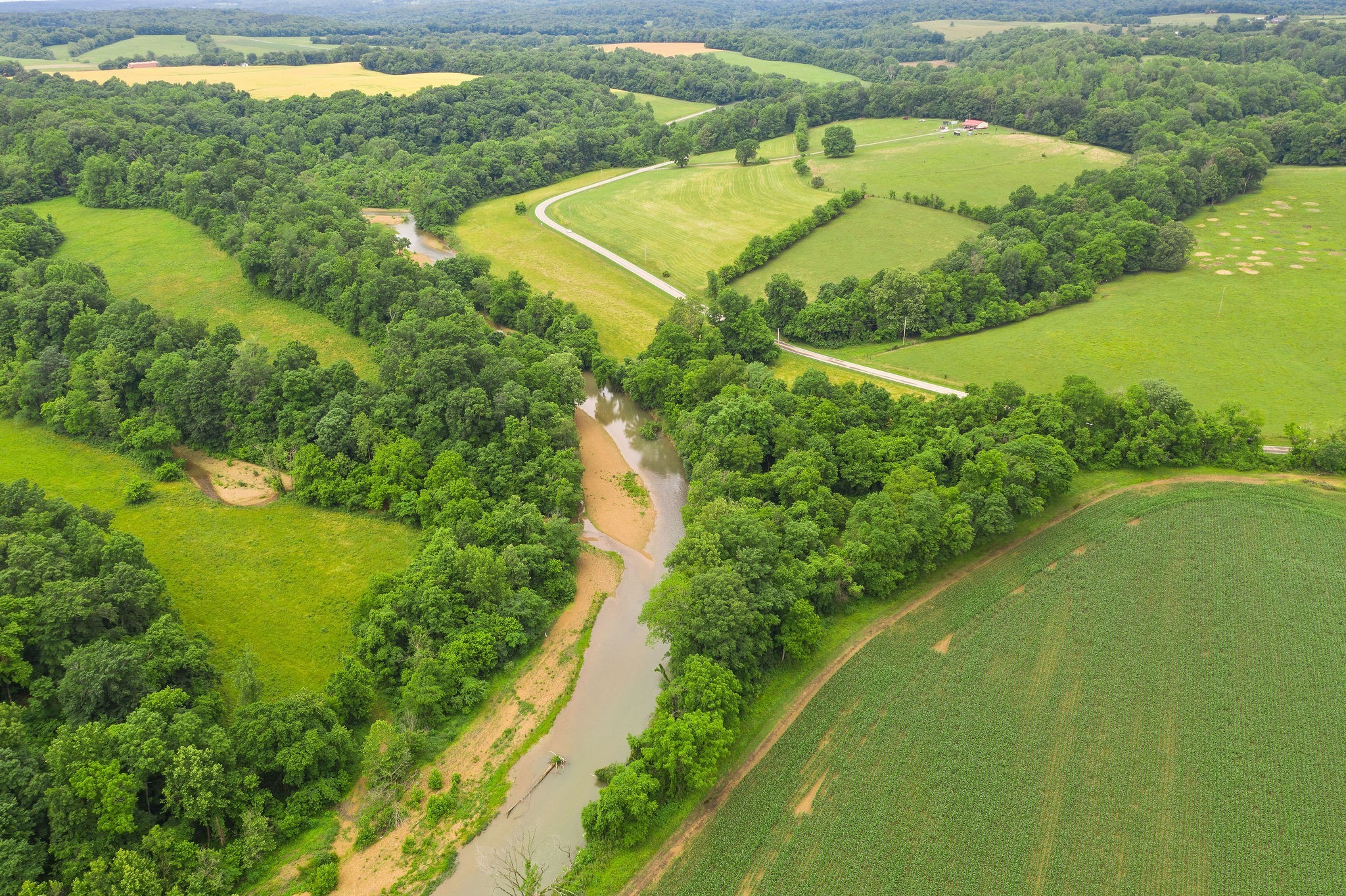 106 Ryes Chapel Road Southside, TN 37171 - Photo 4 of 14 Gallery Image 4