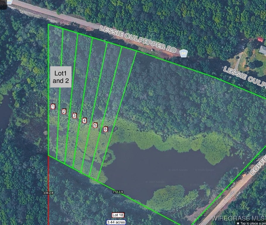 805 Lessie Culpepper Road Coffee Springs, AL 36318 - Photo 3 of 19 Gallery Image 3