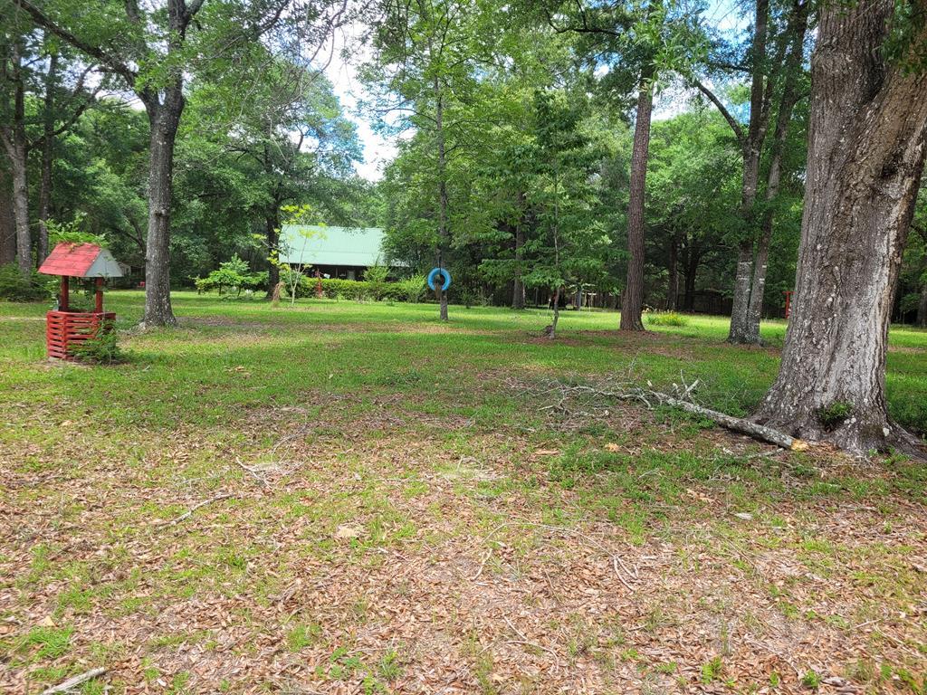 17639 North Creek Road Florala, AL 36442 - Photo 5 of 40