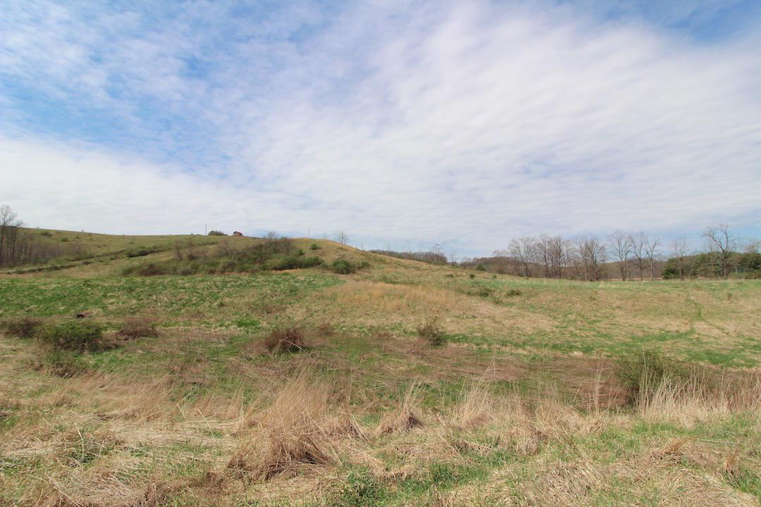0 Worthing Road Kimbolton, OH 43749 - Photo 14 of 29