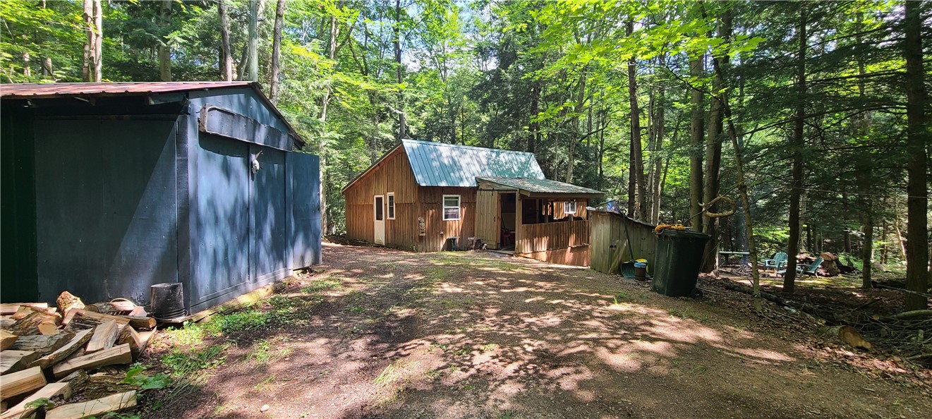 2446 Red Fox Road Portville, NY 14770 - Photo 2 of 41 driveway and front of house