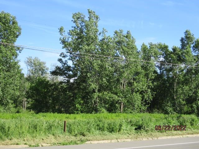0 Fenton Fenton, MI 48430 - Photo 2 of 5 50080943-1.JPG