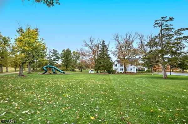 a view of a field with large trees