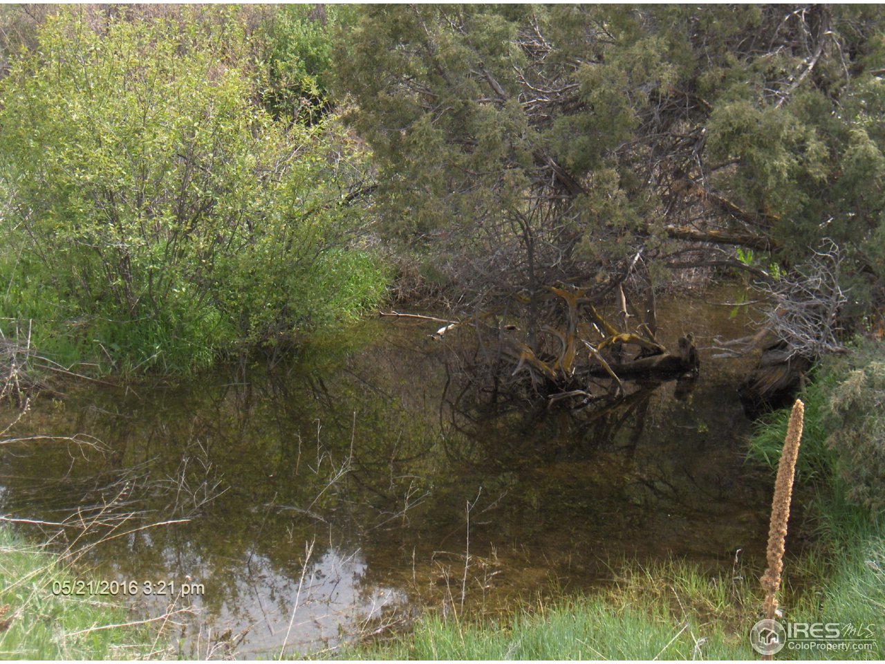 0 Swanson Ranch Road Loveland, CO 80538 - Photo 11 of 11 Gallery Image 11