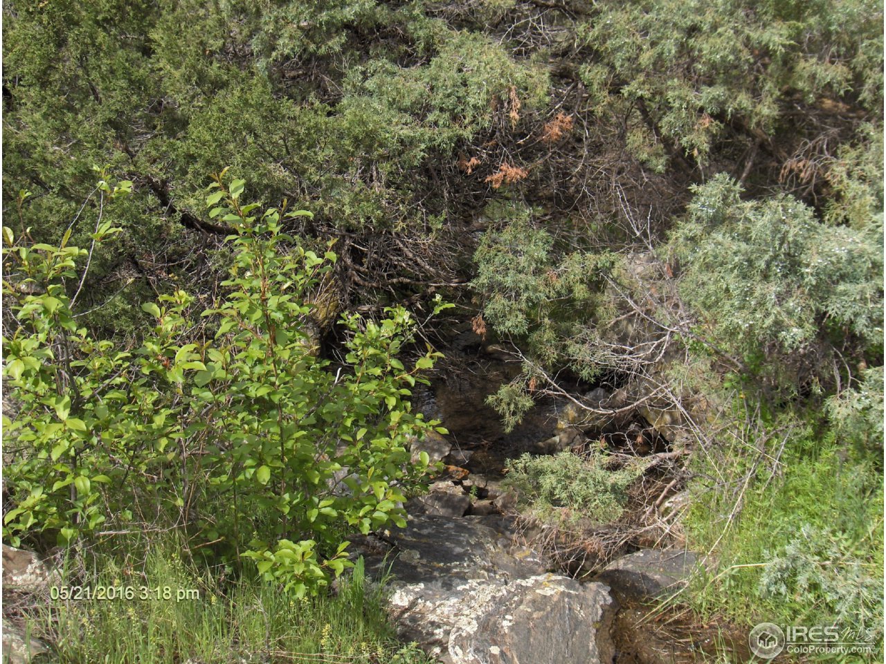 0 Swanson Ranch Road Loveland, CO 80538 - Photo 9 of 11 Gallery Image 9