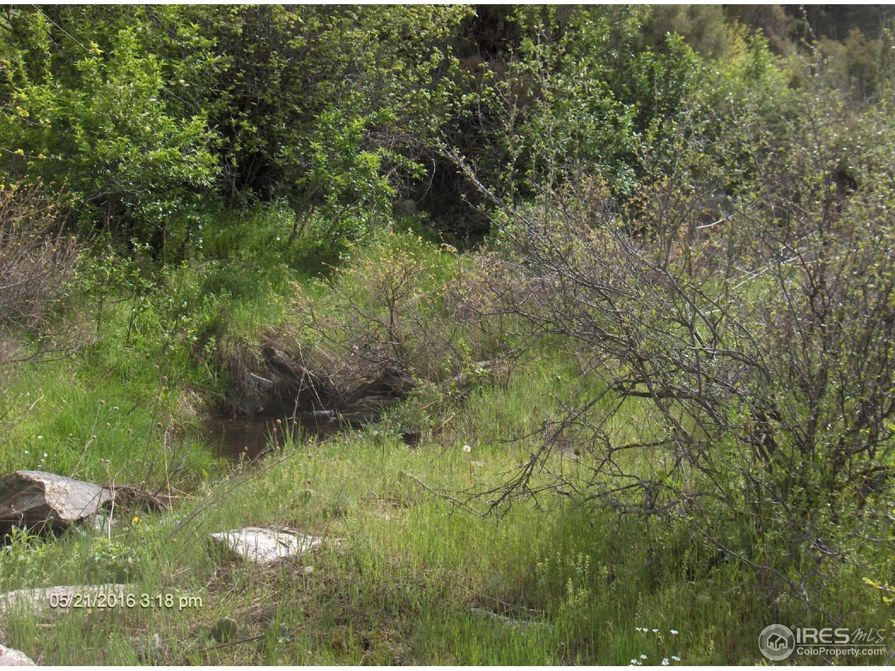 0 Swanson Ranch Road Loveland, CO 80538 - Photo 10 of 11 Gallery Image 10