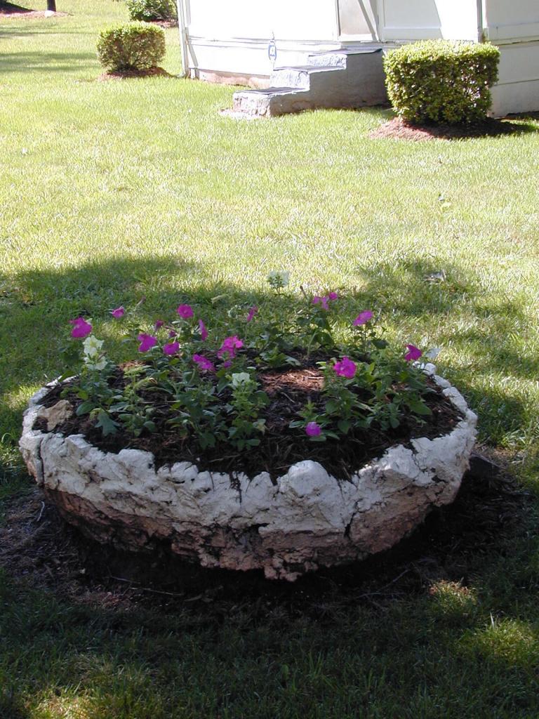 6641 Toshes Road Pittsville, VA 24139 - Photo 4 of 14 Flowers and shrubs