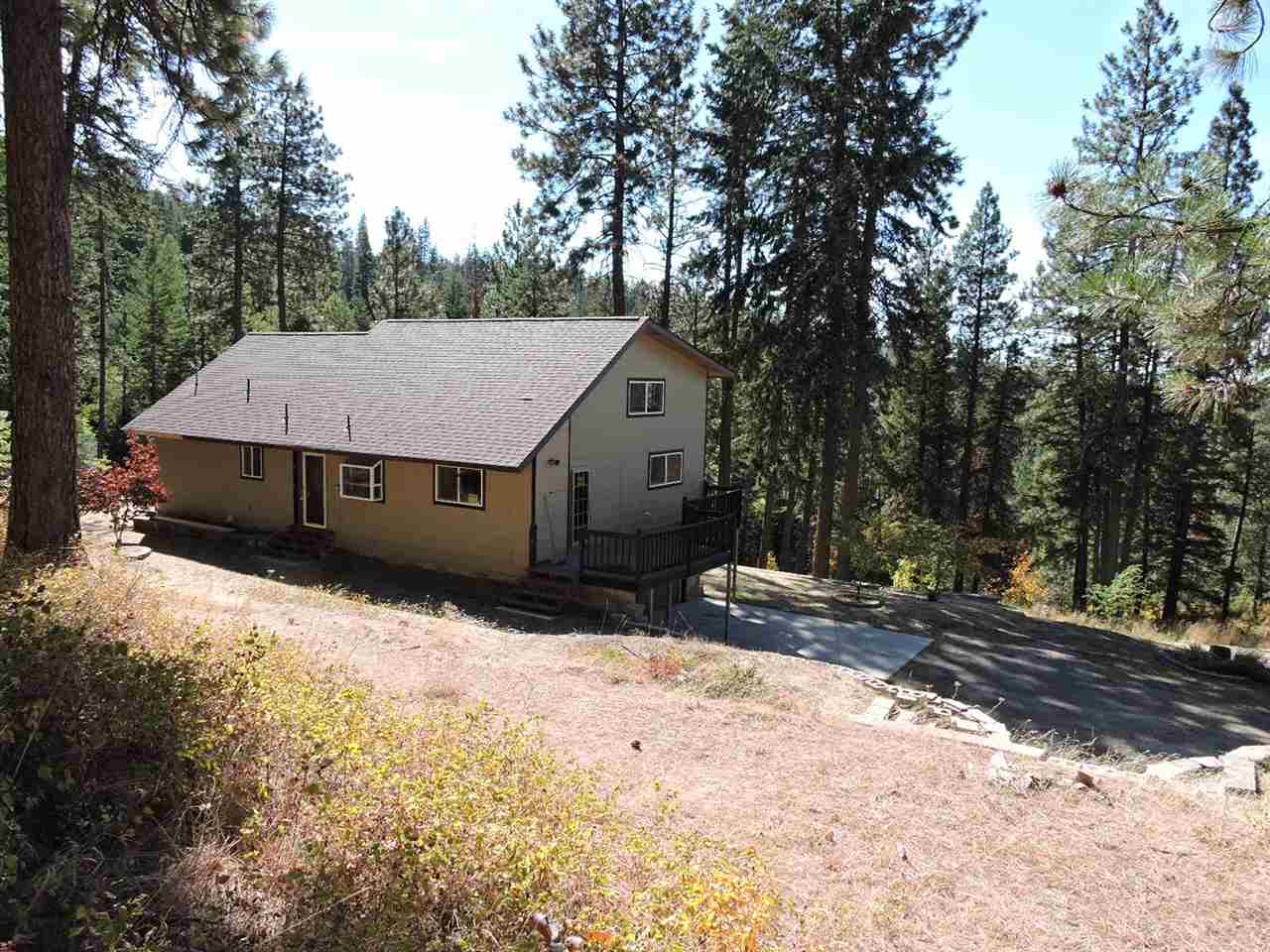 10918 South Forney Road Mica, WA 99023 - Photo 1 of 20