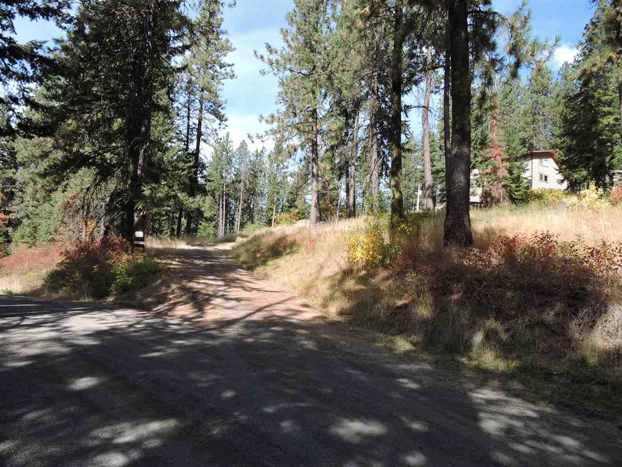 10918 South Forney Road Mica, WA 99023 - Photo 4 of 20