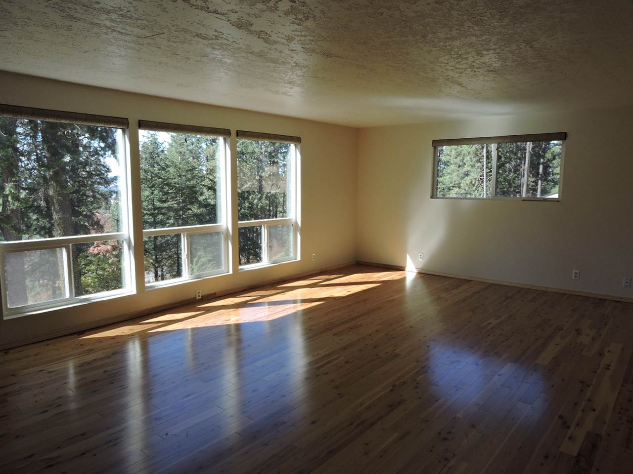 10918 South Forney Road Mica, WA 99023 - Photo 7 of 20