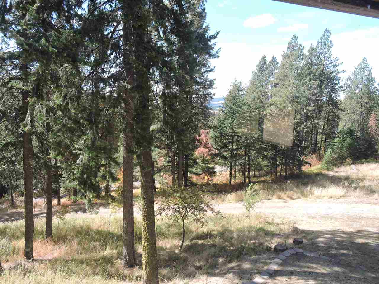10918 South Forney Road Mica, WA 99023 - Photo 8 of 20