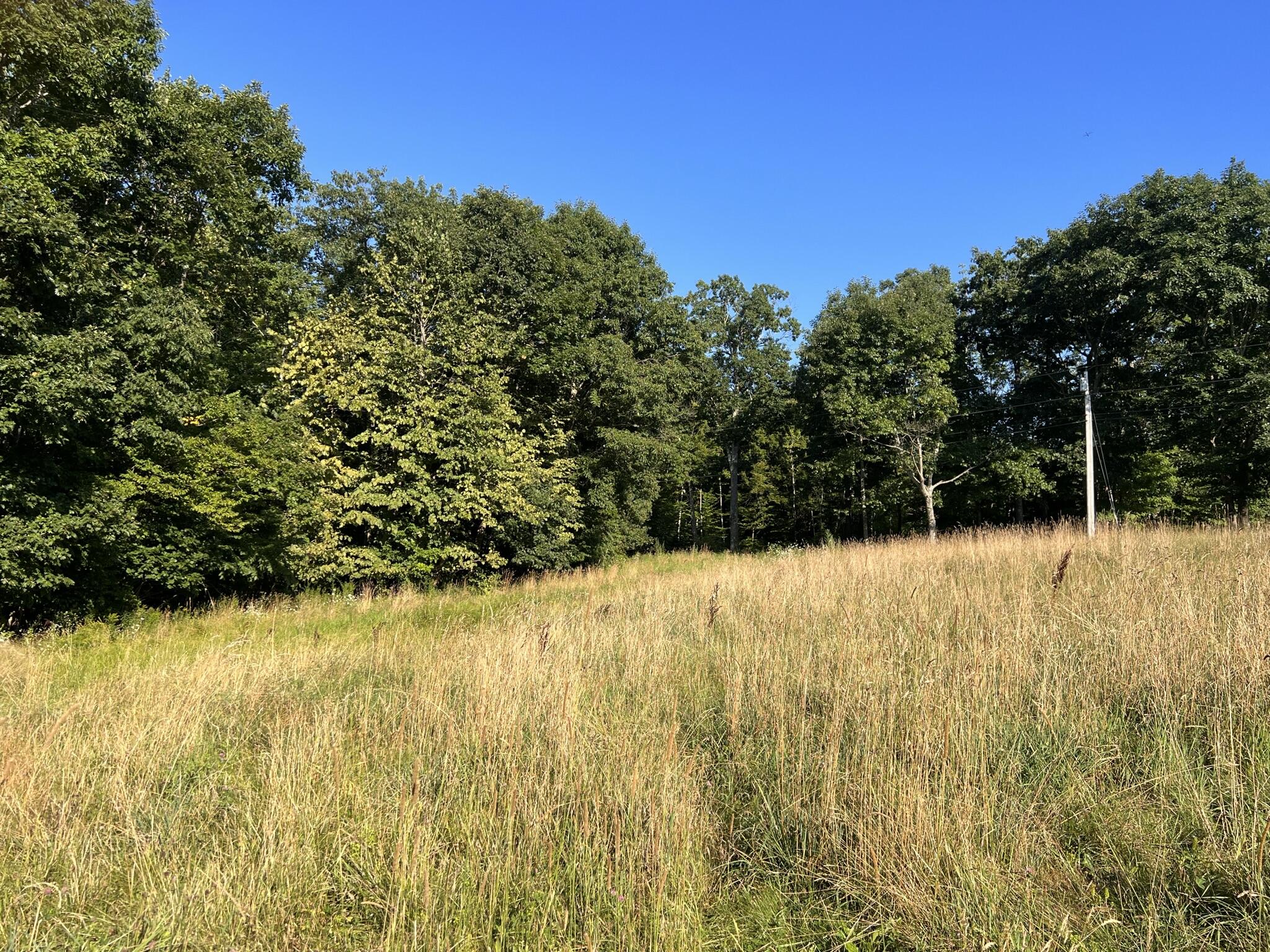 Lot #83 Holmes Road Winthrop, ME 04364 - Photo 15 of 15 IMG_0091