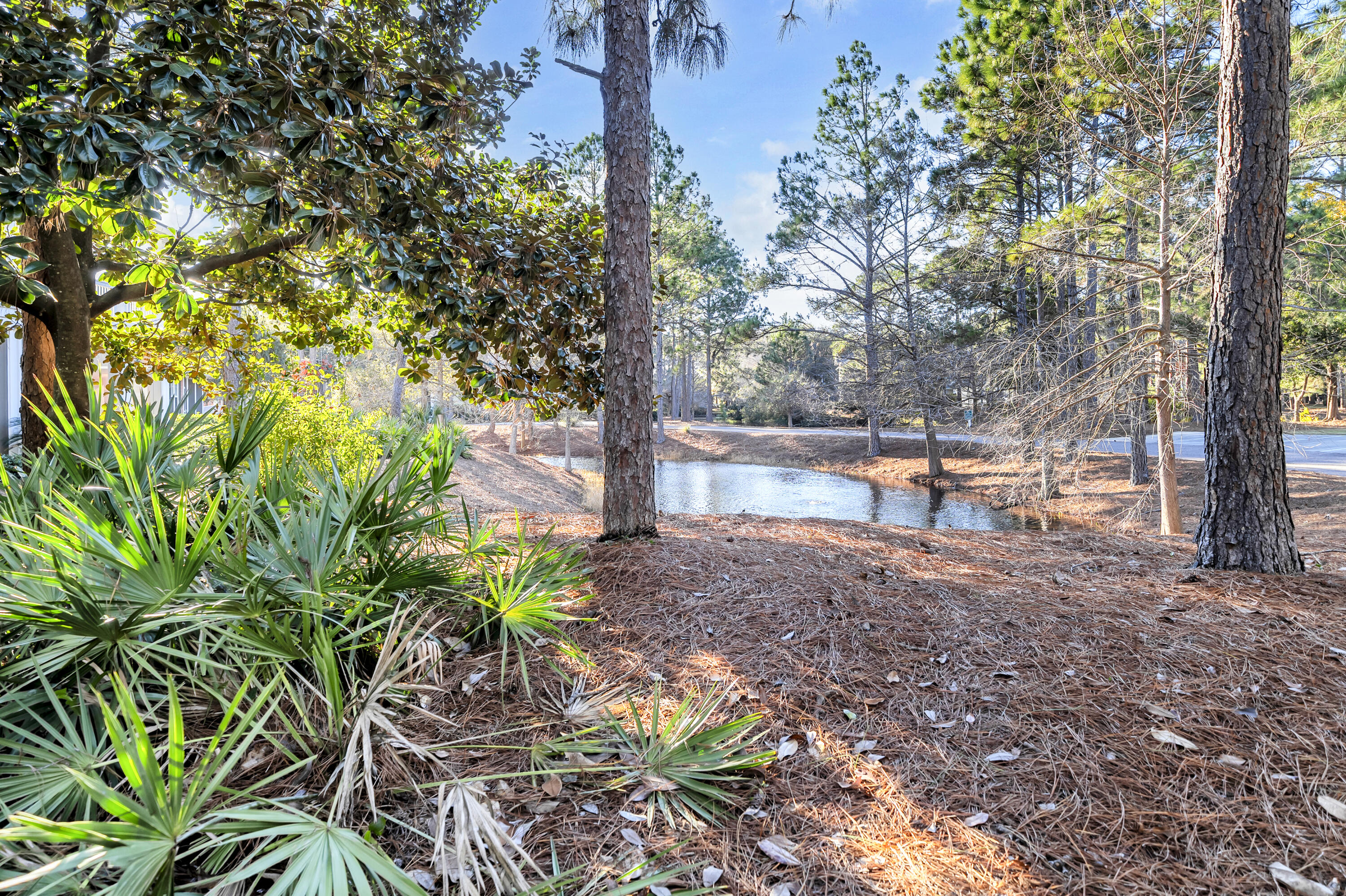 1303 Laurel Way Miramar Beach, FL 32550 - Photo 67 of 77 a backyard of a house with lots of green space