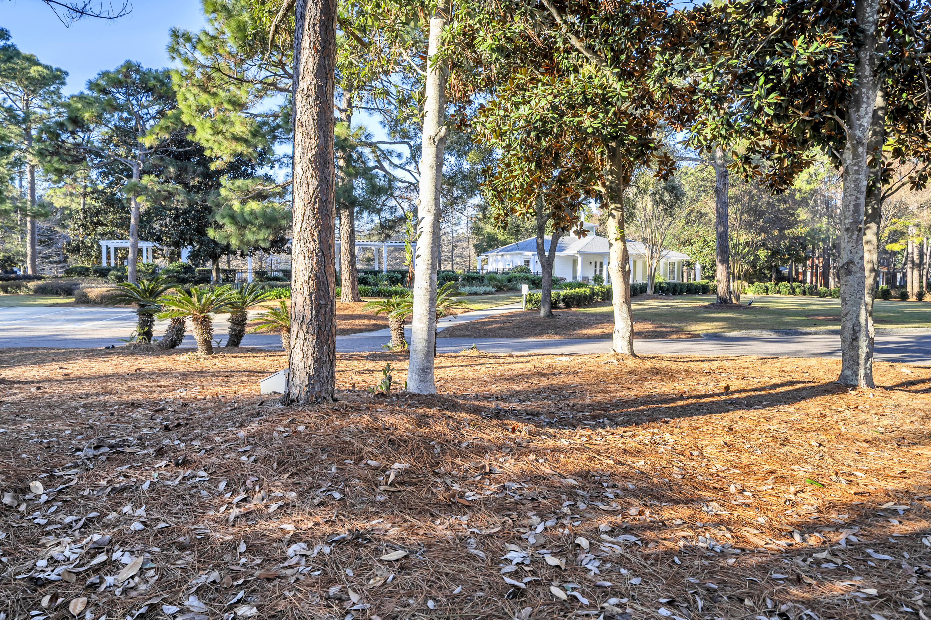 1303 Laurel Way Miramar Beach, FL 32550 - Photo 68 of 77 a view of a park with tree s