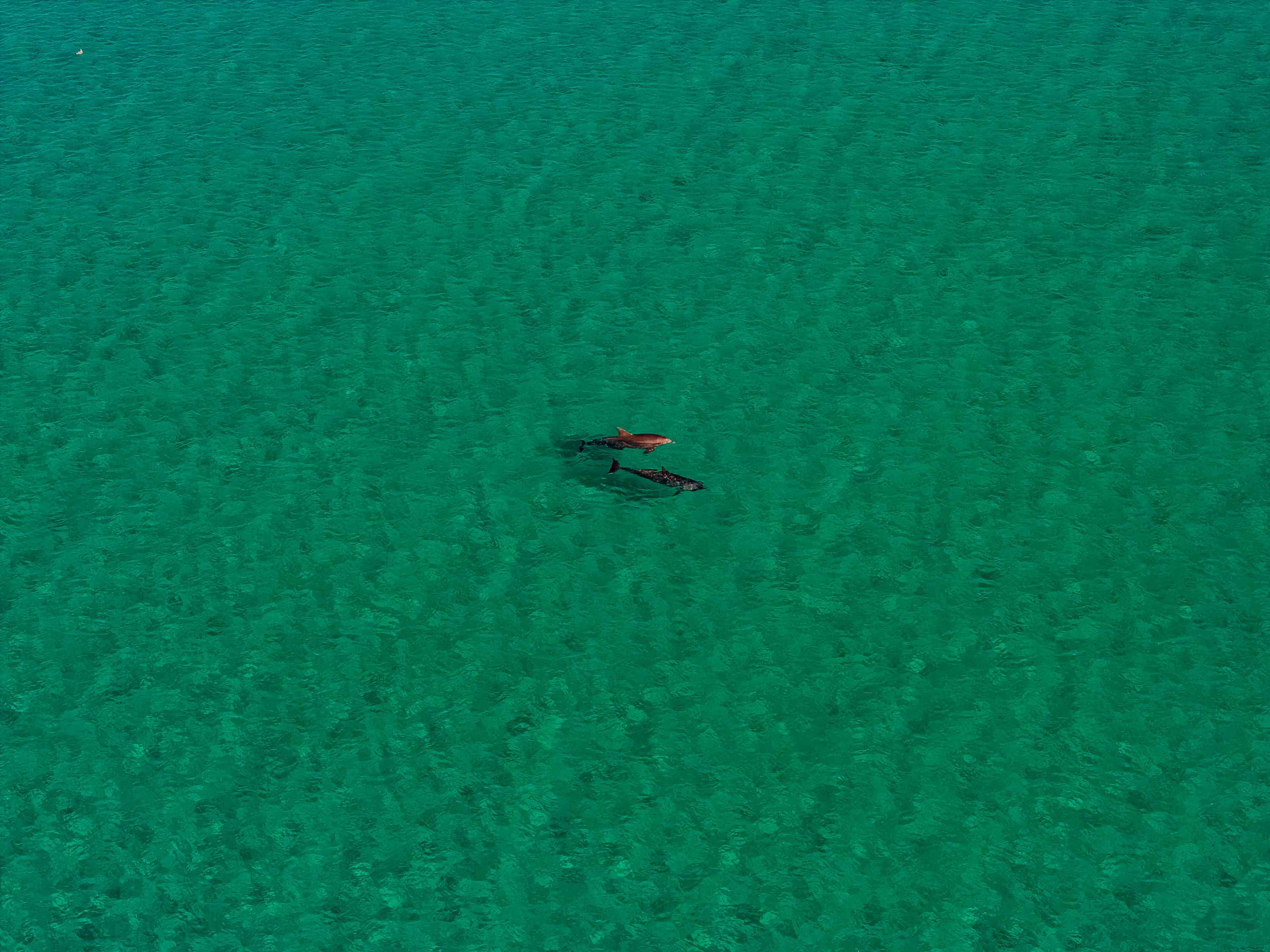 1303 Laurel Way Miramar Beach, FL 32550 - Photo 77 of 77 Sandestin Resort