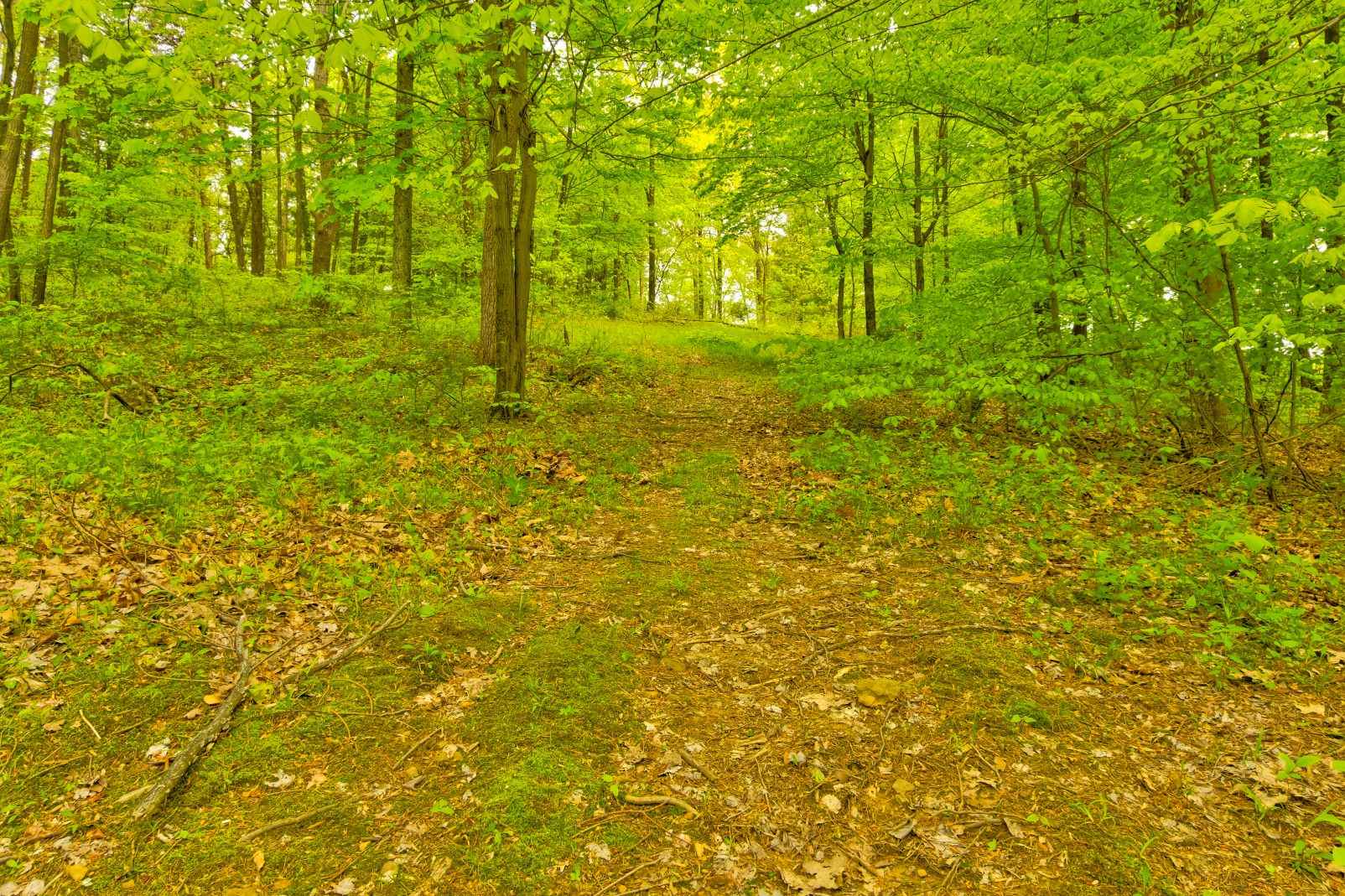 4719 West Co Road Orleans, IN 47452 - Photo 17 of 35