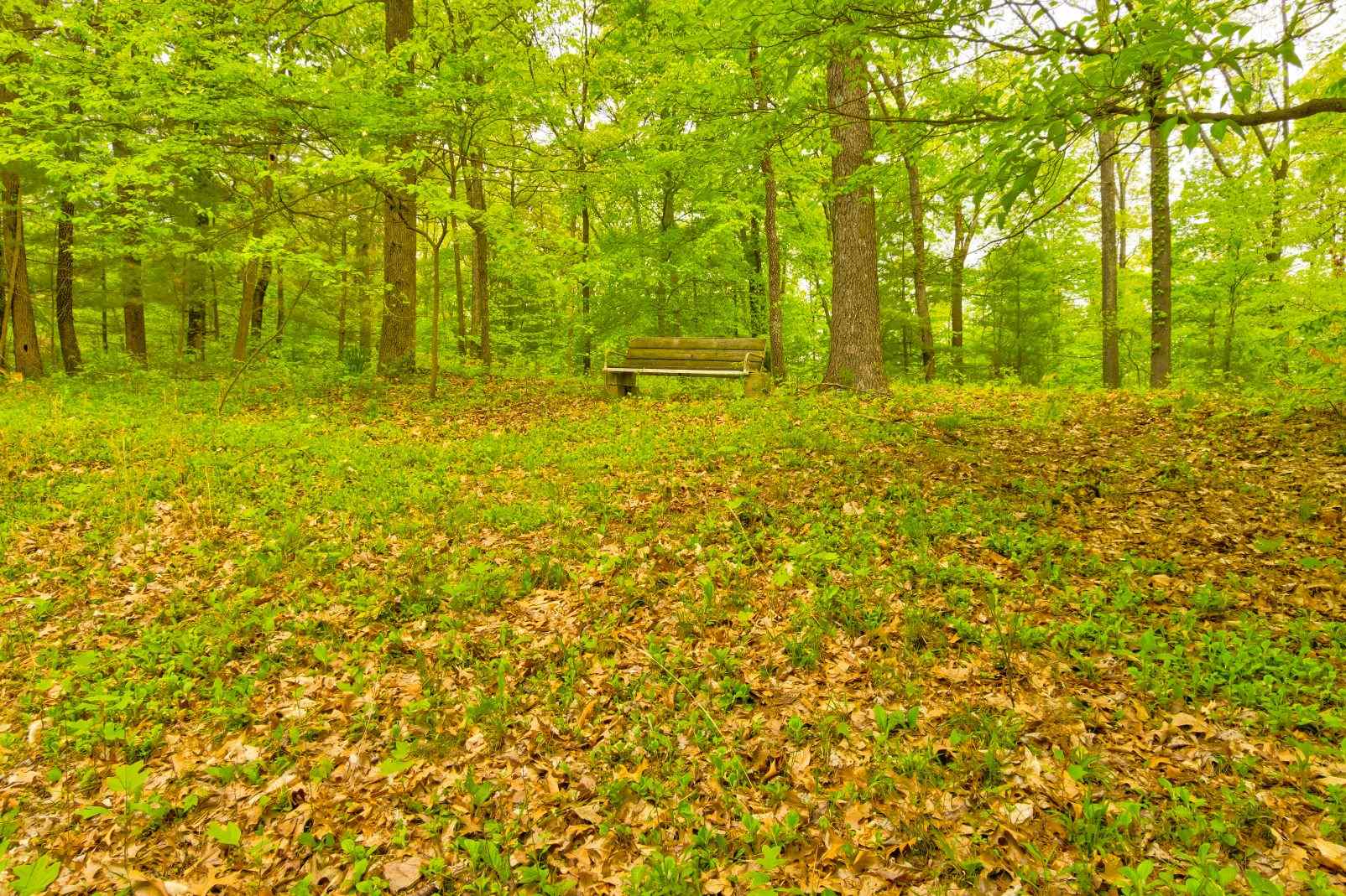 4719 West Co Road Orleans, IN 47452 - Photo 19 of 35