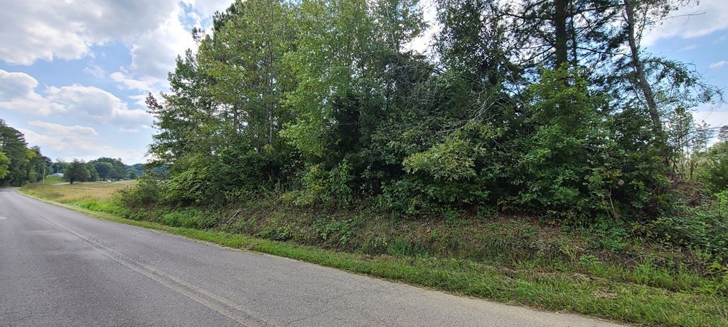 733 Athens Road Calhoun, TN 37309 - Photo 5 of 15 Gallery Image 5