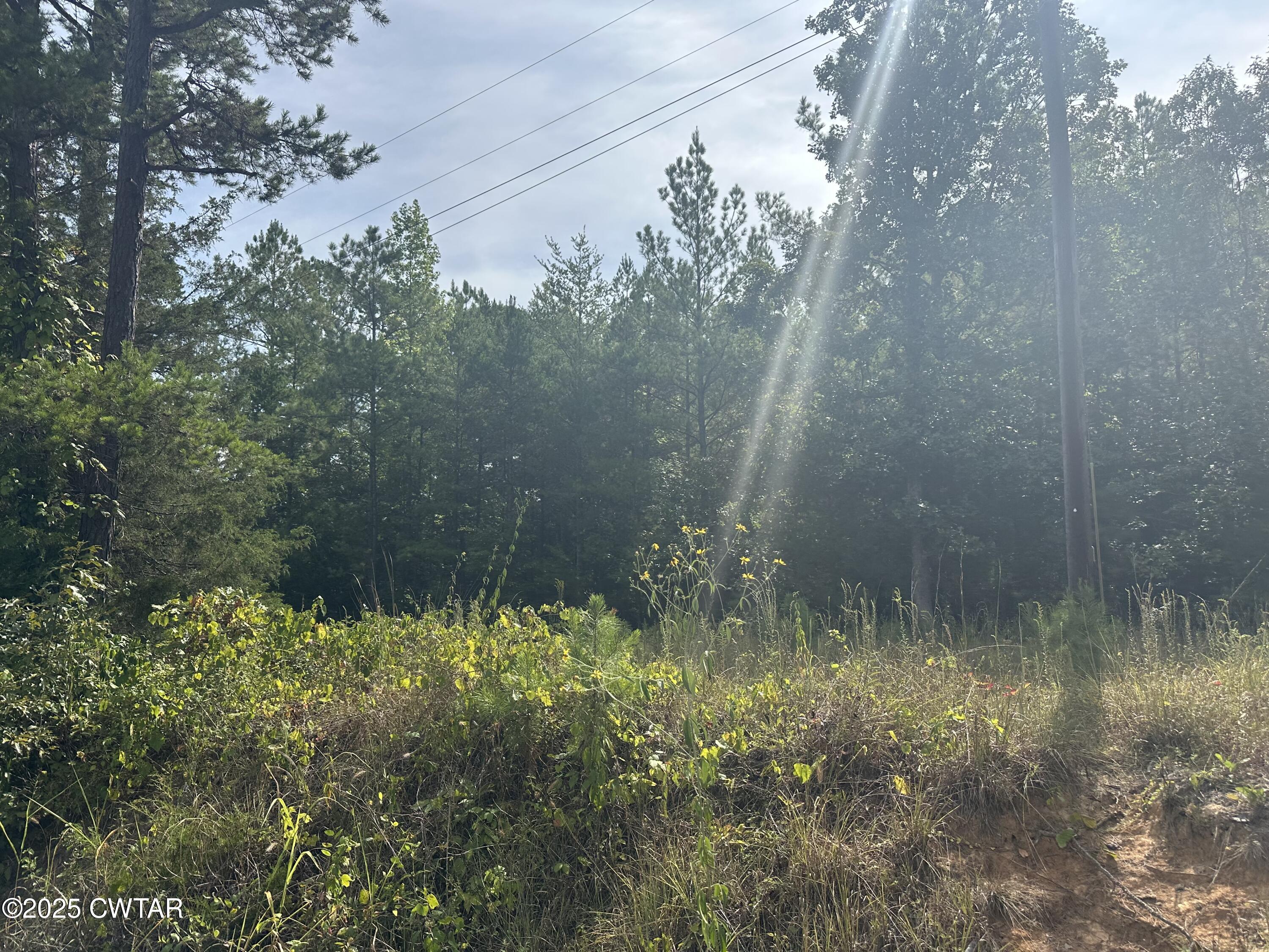 a bathroom with a small yard and green space