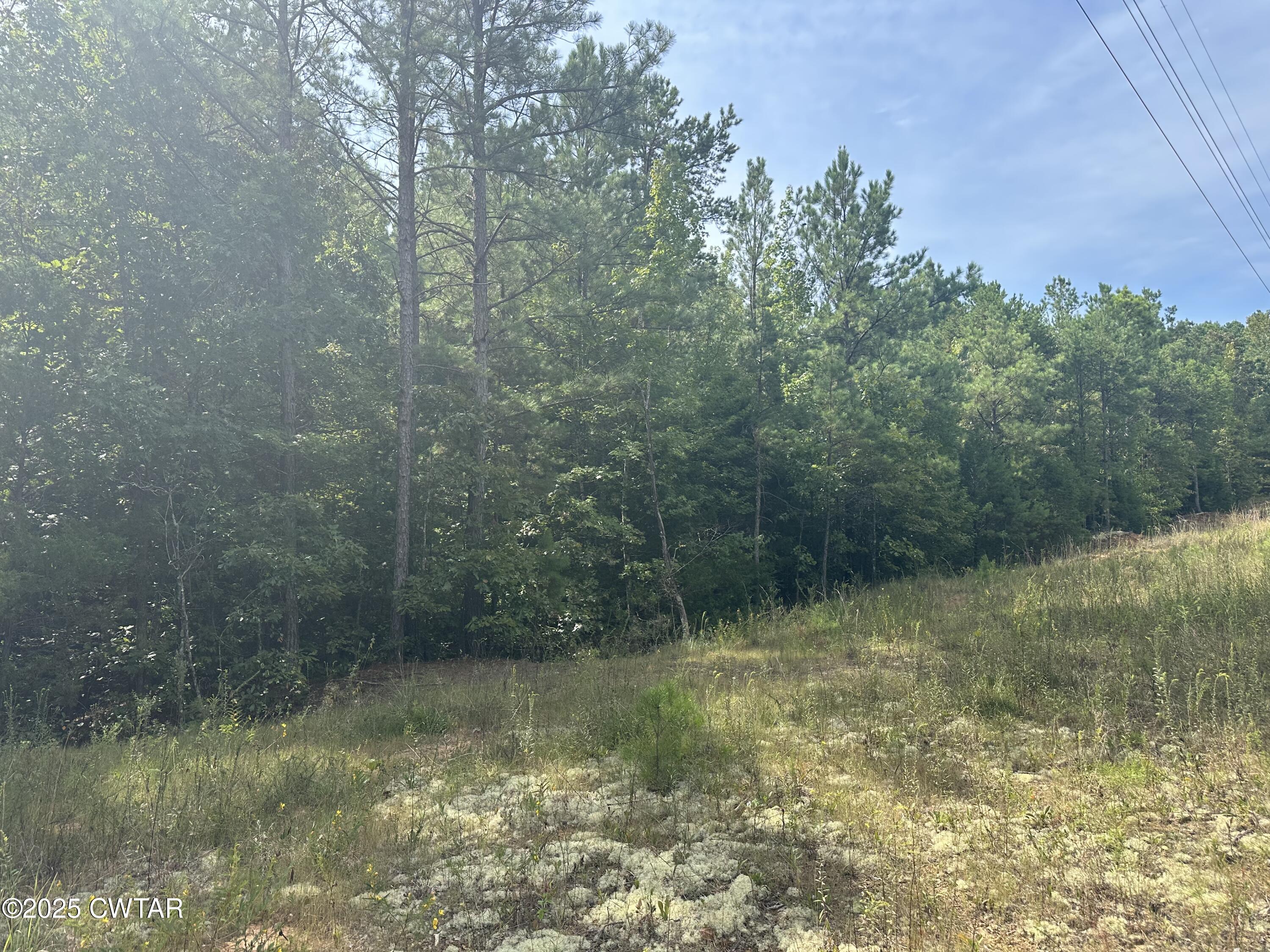 0 Stewart Road Finger, TN 38334 - Photo 8 of 9 a view of a lake view