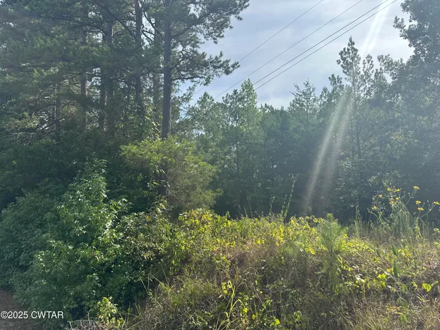 $35,750 | 0 Stewart Road, Finger, TN 38334