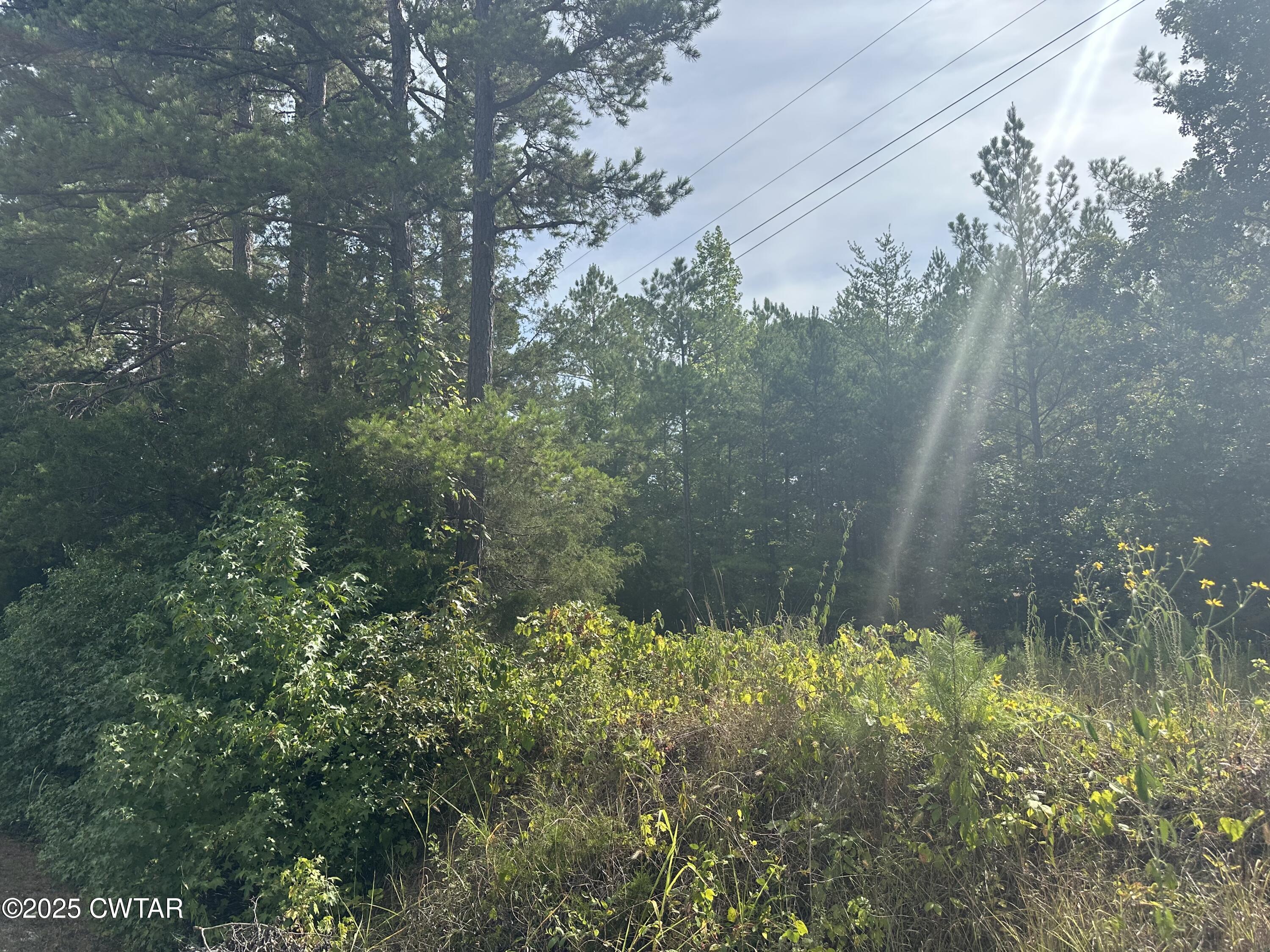 0 Stewart Road Finger, TN 38334 - Photo 9 of 9 a view of a garden