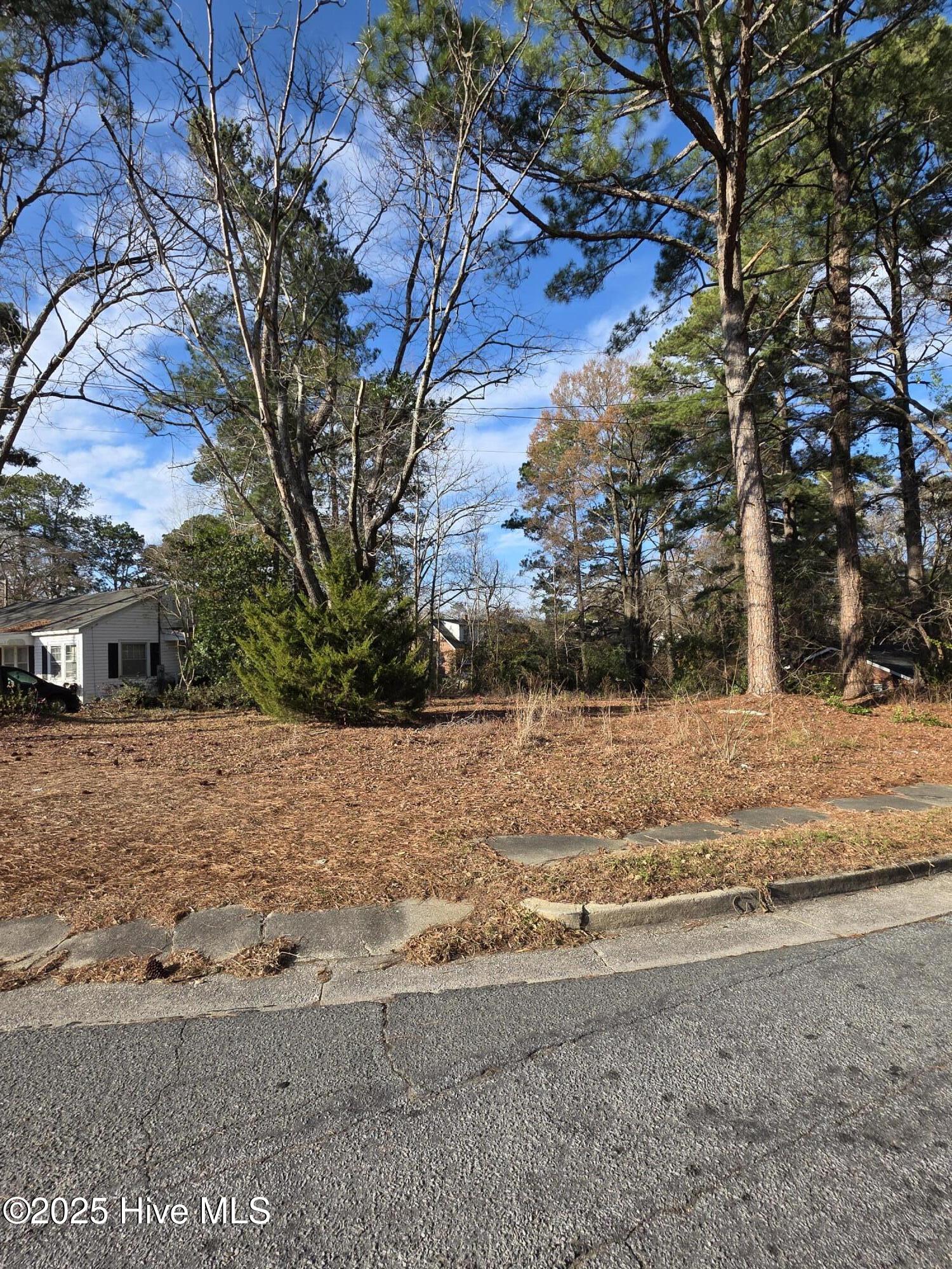 404 Summit Avenue Kinston, NC 28501 - Photo 3 of 6 12434