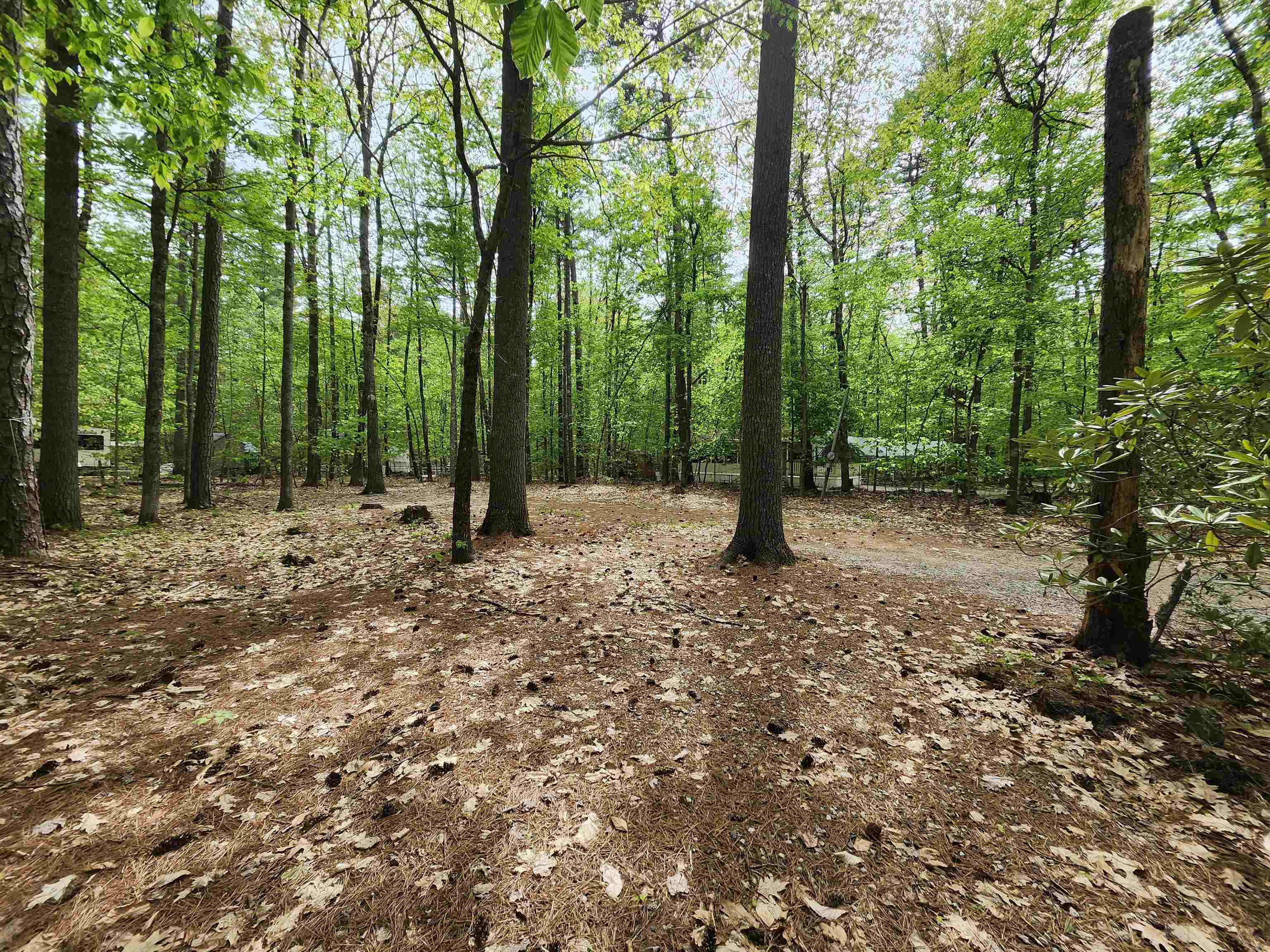 Lot 7 Pine Road East Wakefield, NH 03830 - Photo 8 of 11