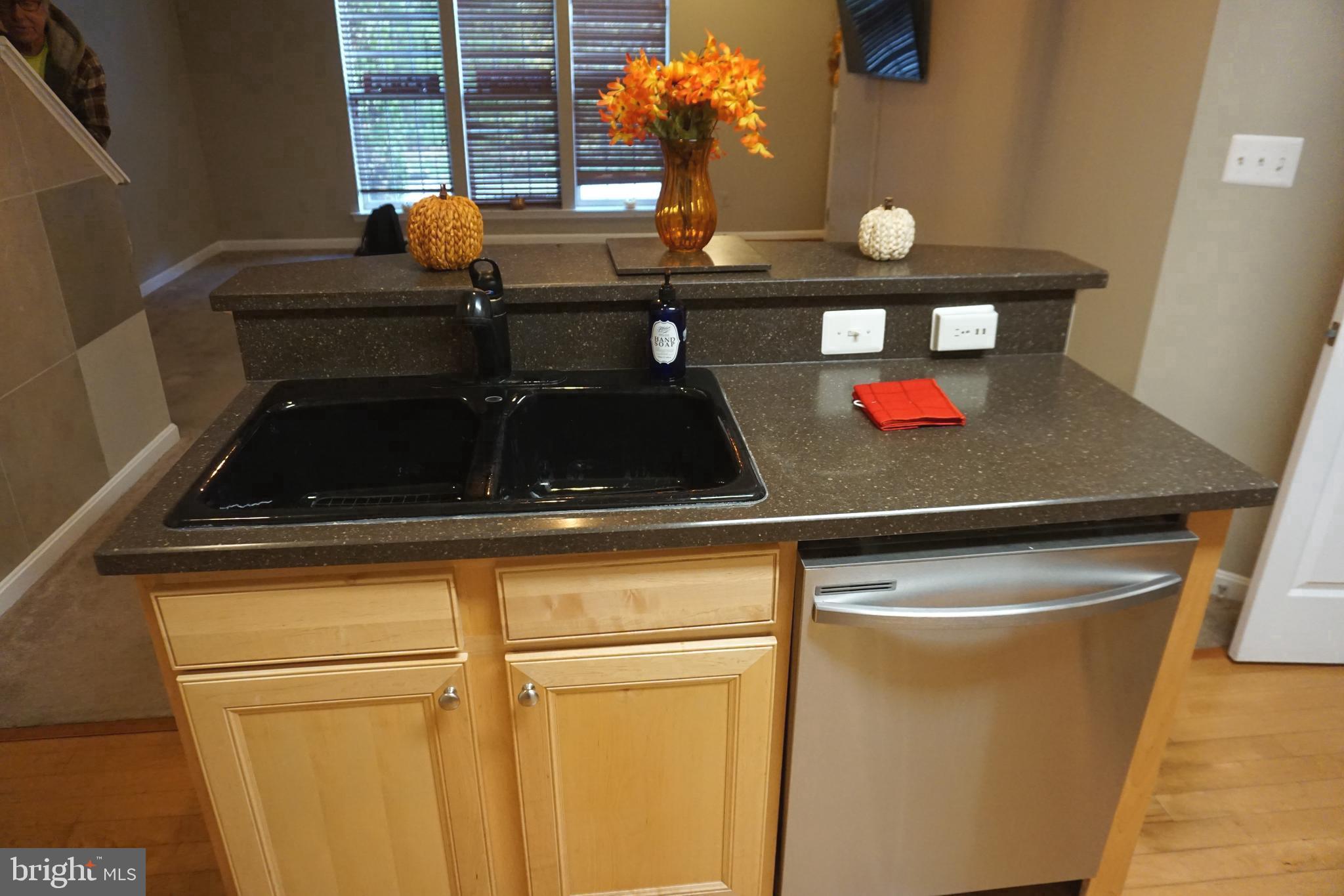 1670 Mohegan Drive, Unit A Havre de Grace, MD 21078 - Photo 14 of 44 DOUBLE SINK / DISHWASHER